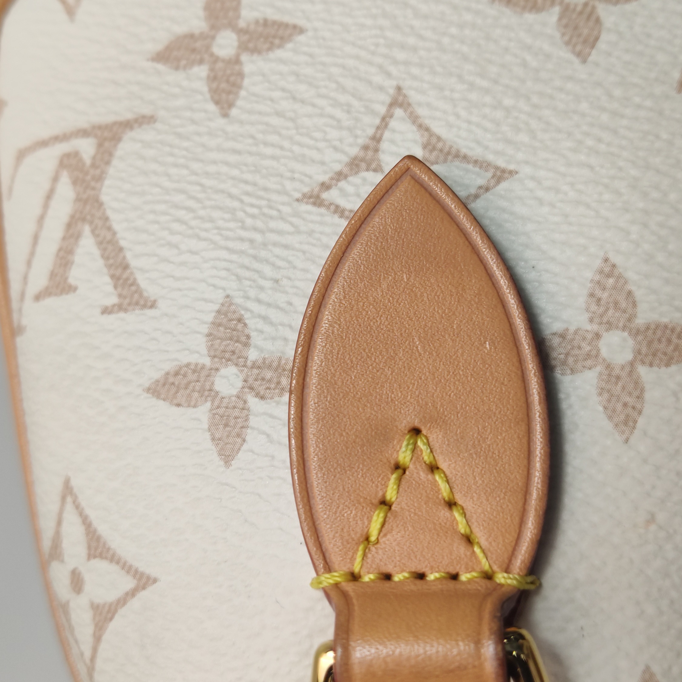 Louis Vuitton Speedy Bandouliere Bag Monogram Dune Canvas 20 — photo 9 of 15