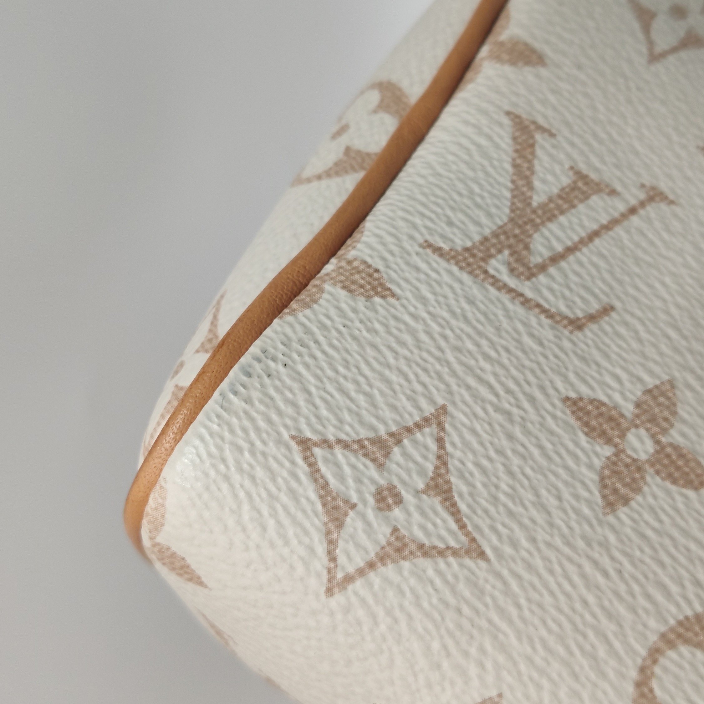 Louis Vuitton Speedy Bandouliere Bag Monogram Dune Canvas 20 — photo 10 of 15