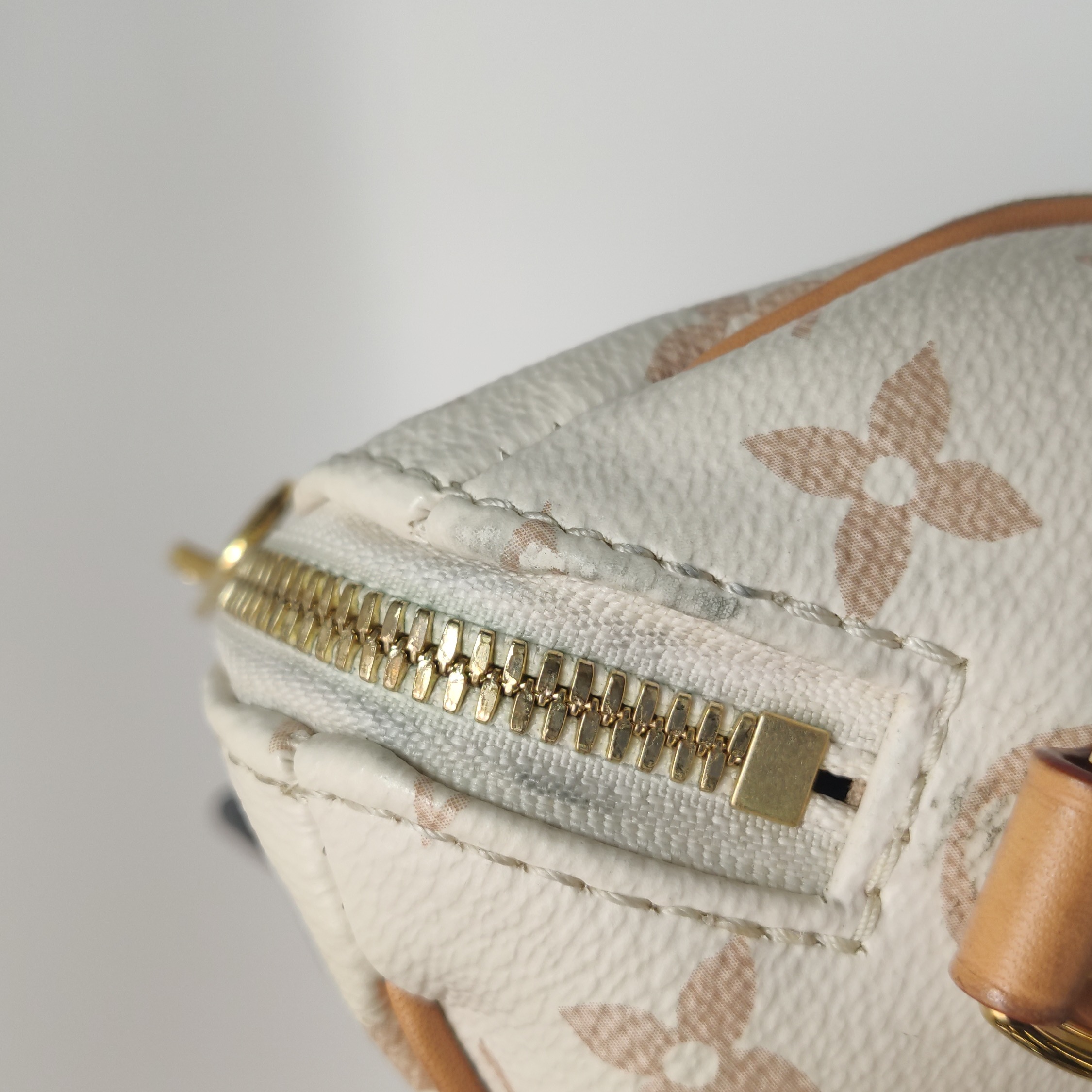Louis Vuitton Speedy Bandouliere Bag Monogram Dune Canvas 20 — photo 12 of 15