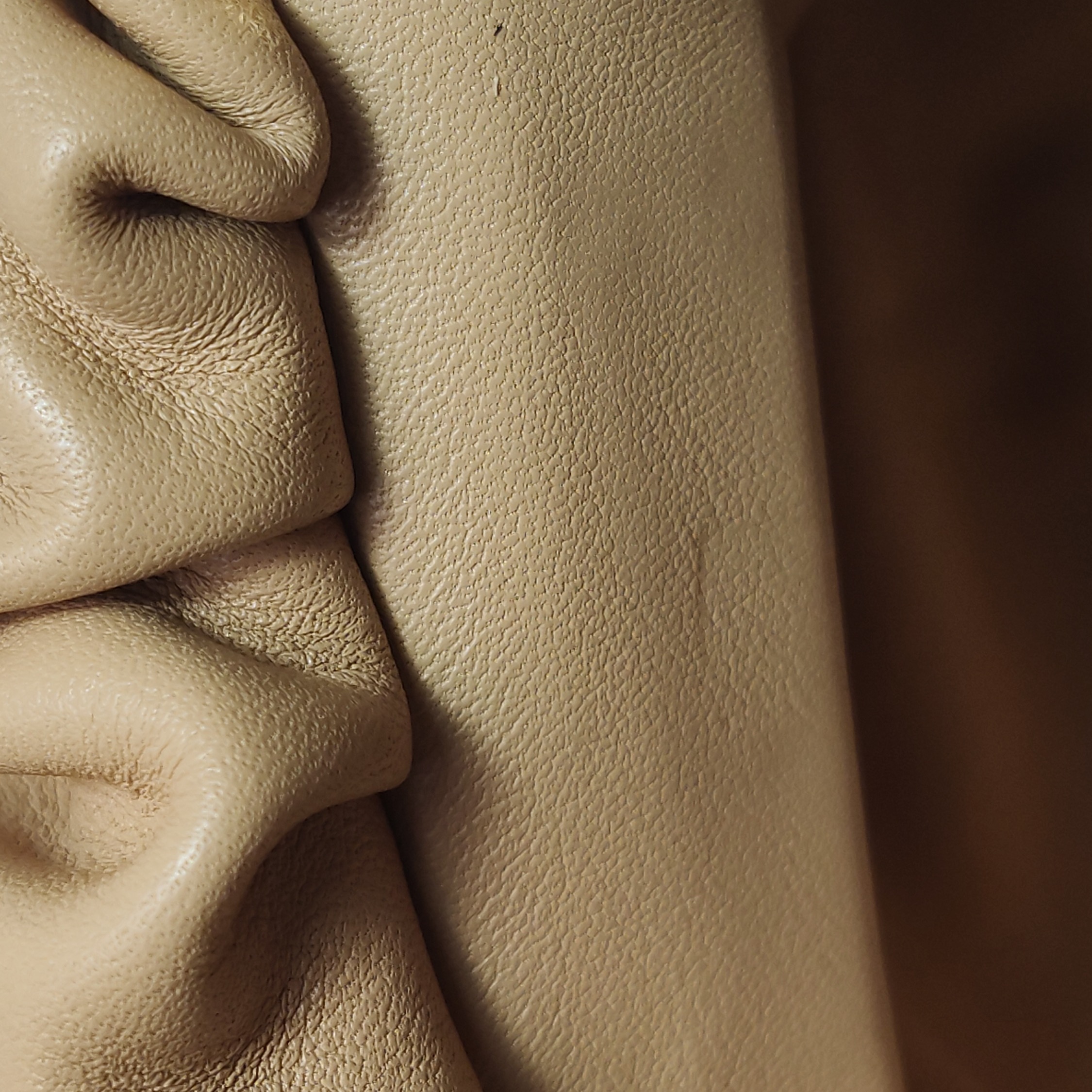 Bottega Veneta The Chain Pouch Leather — photo 8 of 11