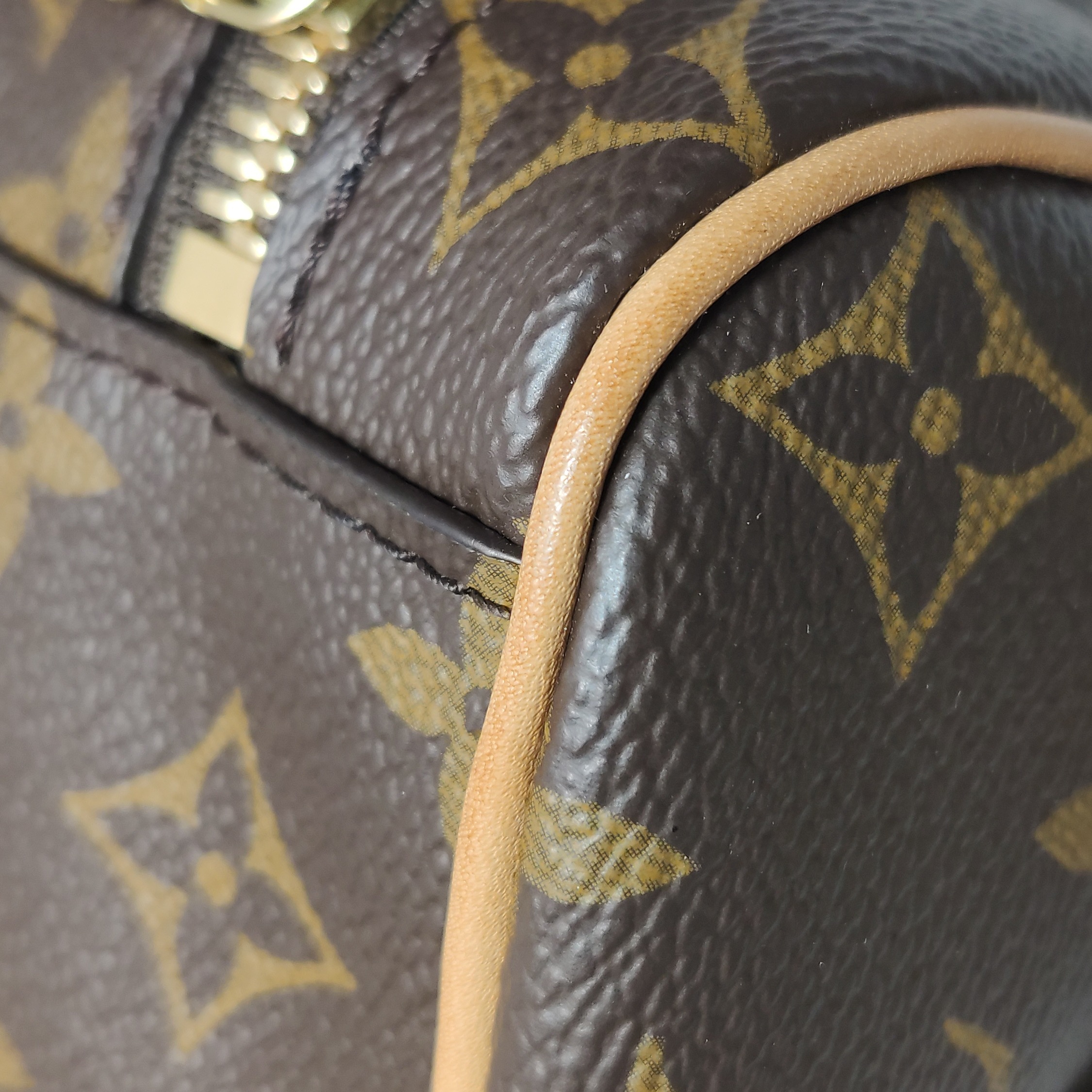Louis Vuitton(LV) Nice Vanity Case Monogram Canvas Mini — photo 11 of 18