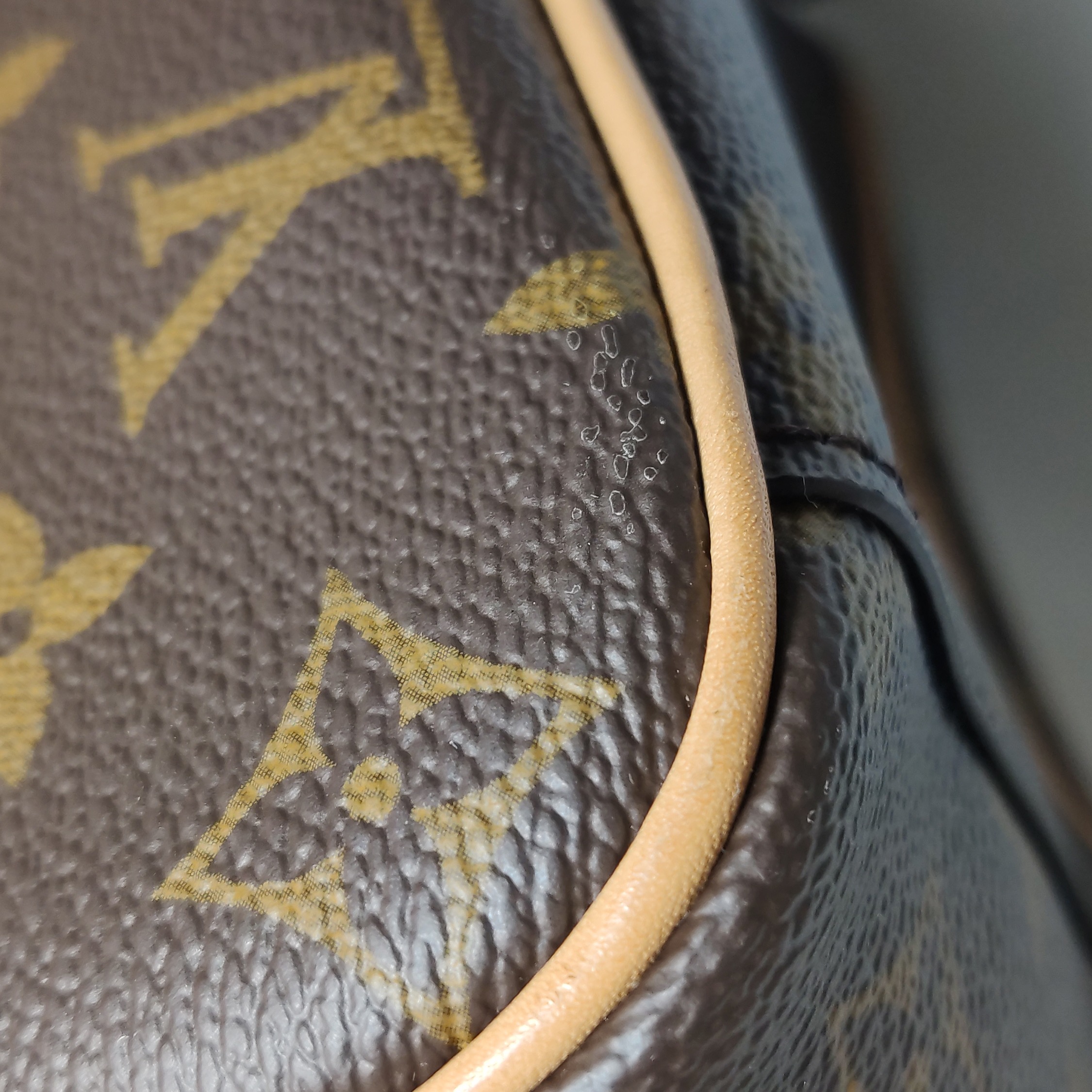 Louis Vuitton(LV) Nice Vanity Case Monogram Canvas Mini — photo 16 of 18