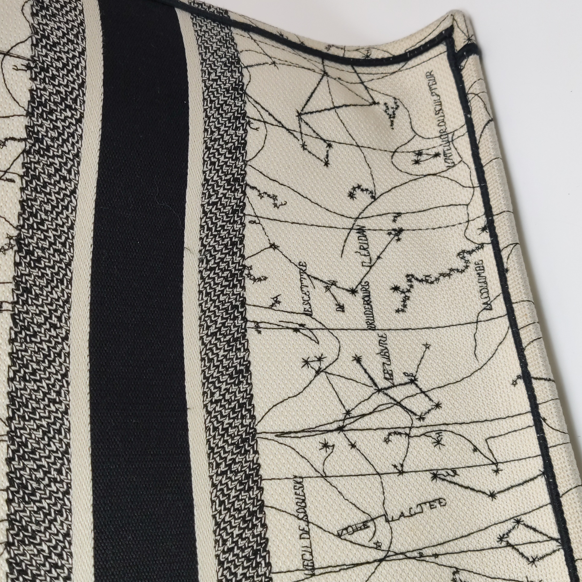 Christian Dior Book Tote Embroidered Canvas Large — photo 13 of 21