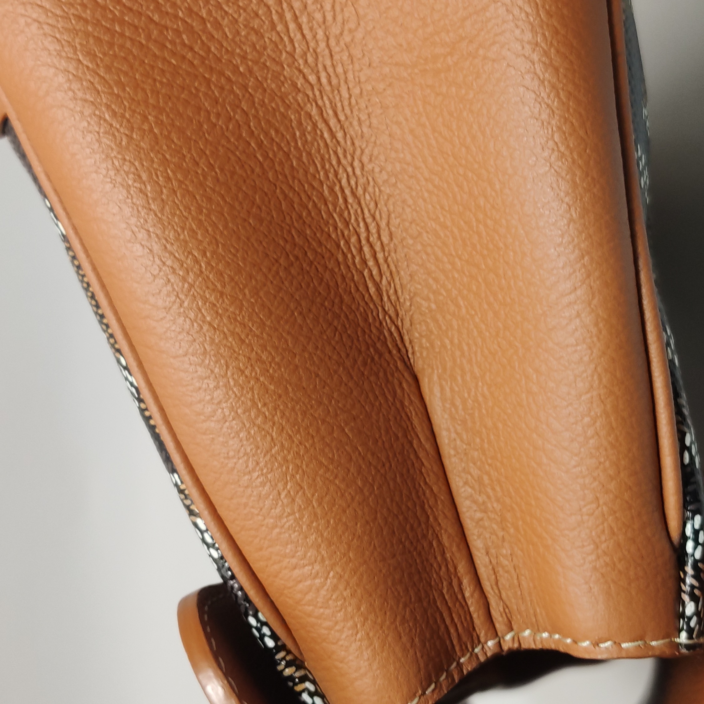 Goyard Saigon Top Handle Bag Coated Canvas with Leather Mini — photo 10 of 15