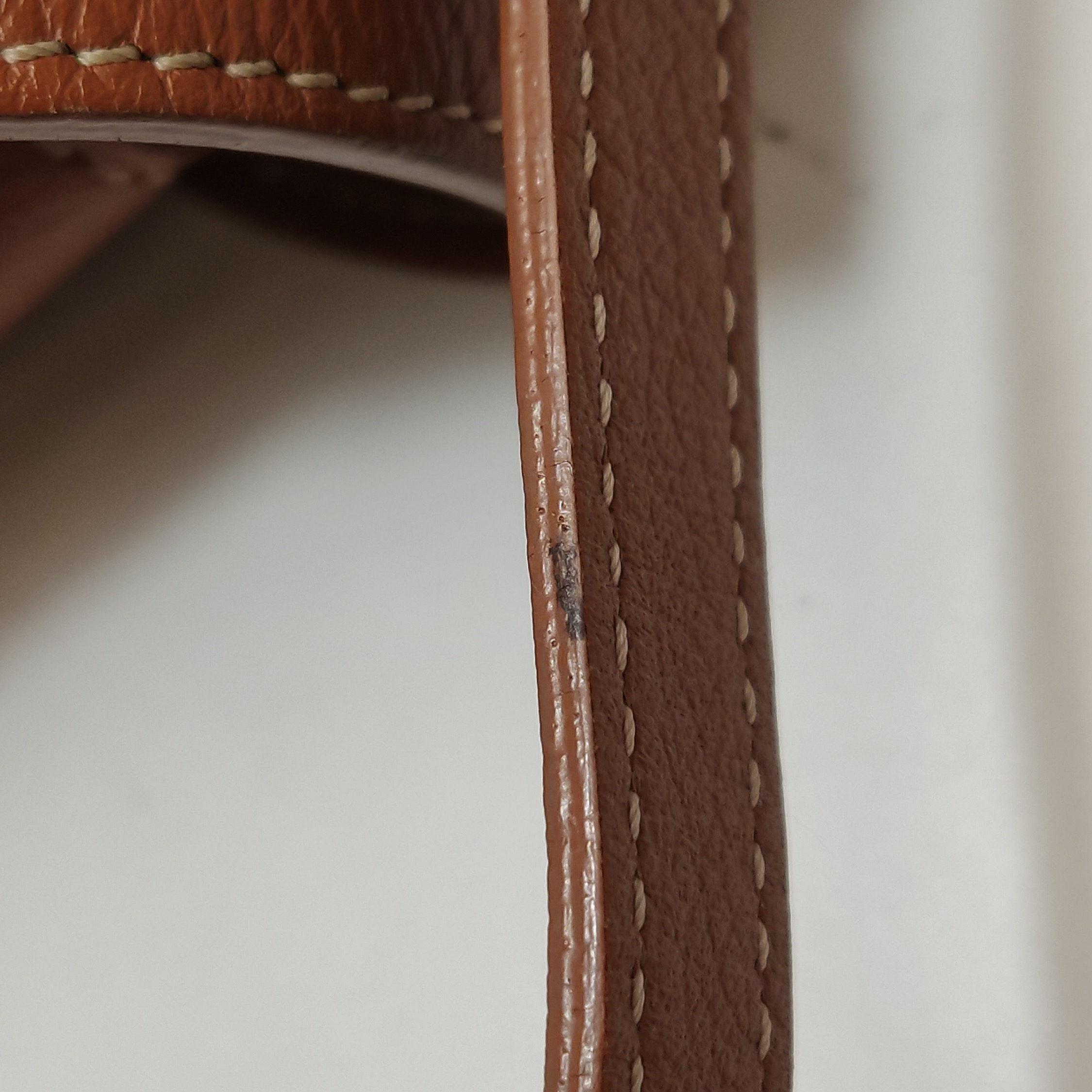 Goyard Saigon Top Handle Bag Coated Canvas with Leather Mini — photo 13 of 13
