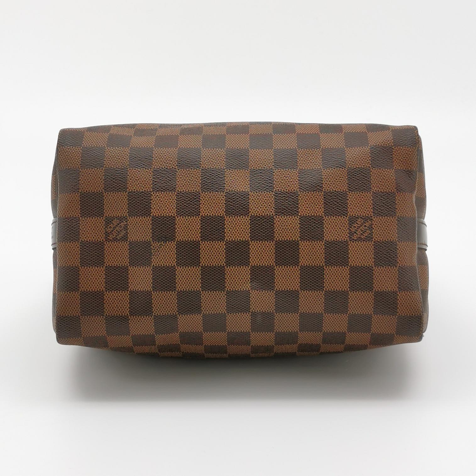 Louis Vuitton(LV) Speedy Handbag Damier 25 — photo 6 of 19