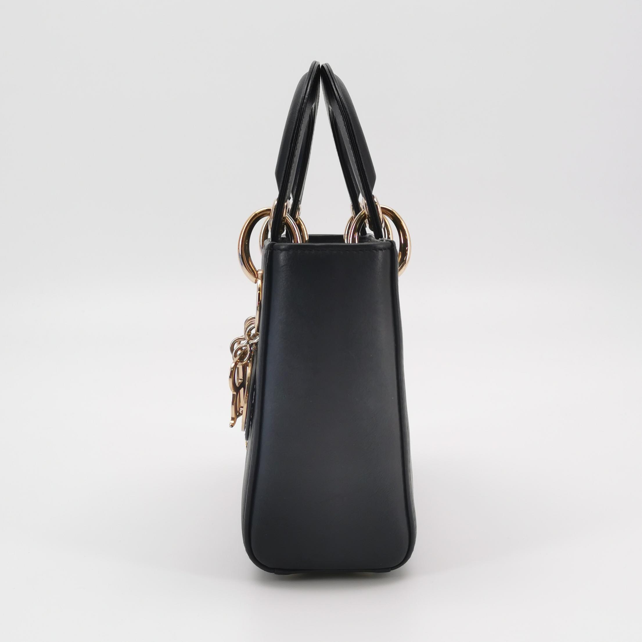 Christian Dior Lady Dior Bag Limited Edition Niki de Saint Phalle Embroidered Leather — photo 4 of 23