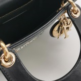 Christian Dior Lady Dior Bag Limited Edition Niki de Saint Phalle Embroidered Leather — thumbnail 9
