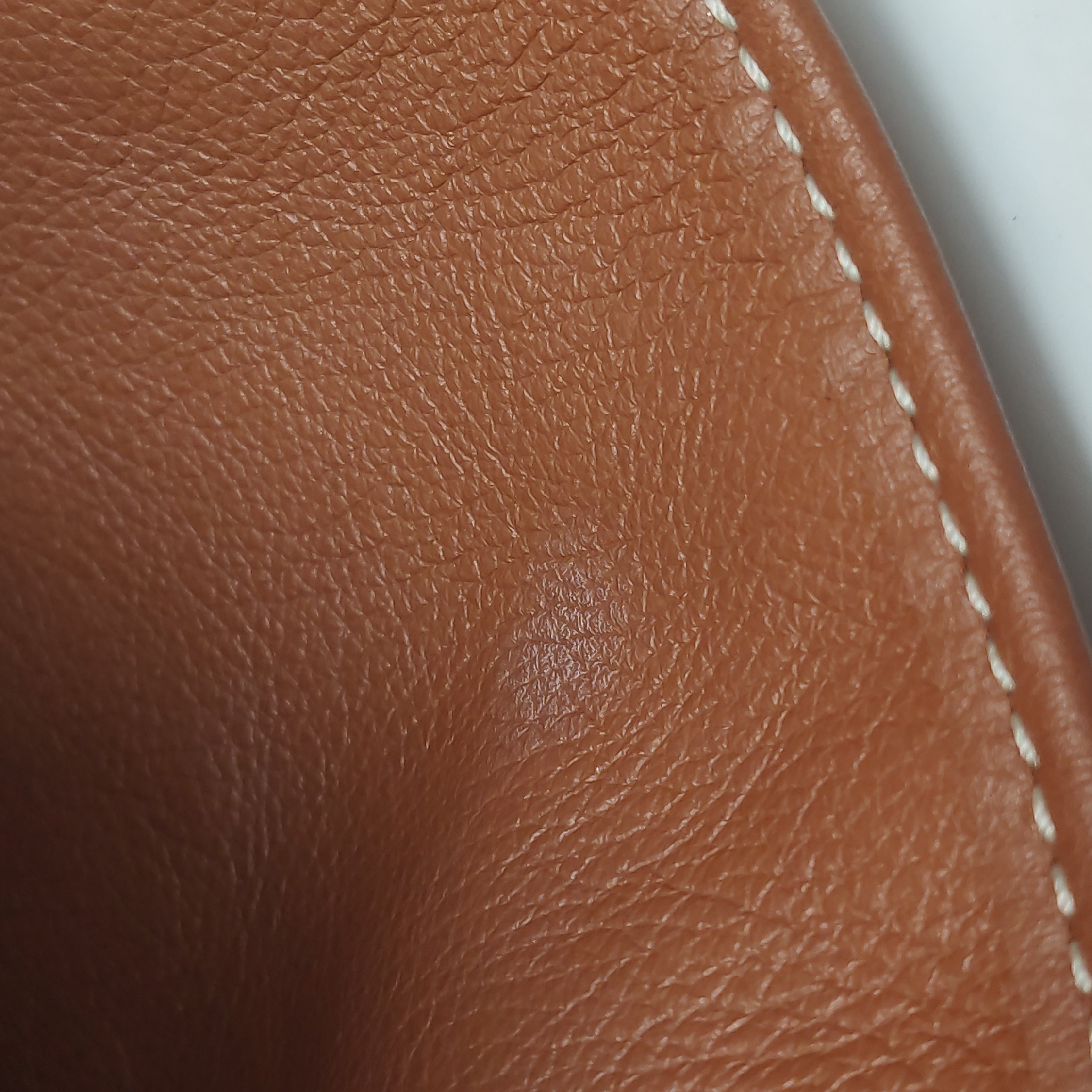 Goyard Anjou Reversible Tote Coated Canvas Mini — photo 14 of 18