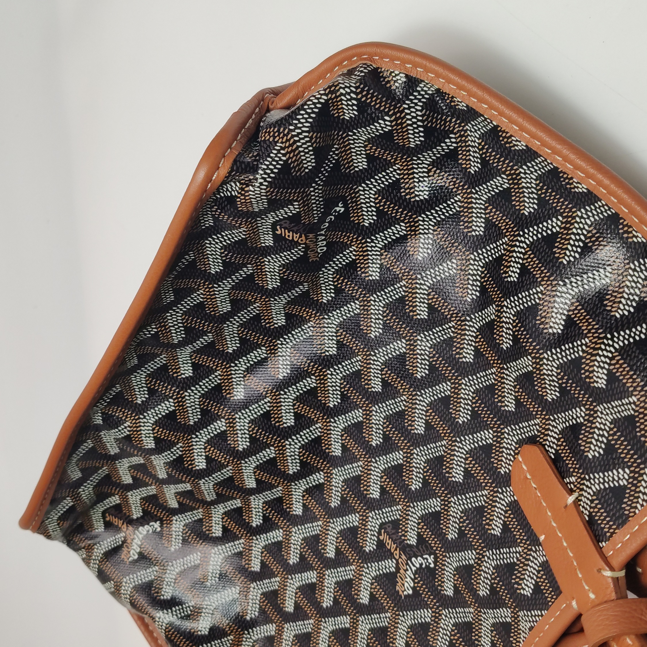 Goyard Anjou Reversible Tote Coated Canvas Mini — photo 15 of 18