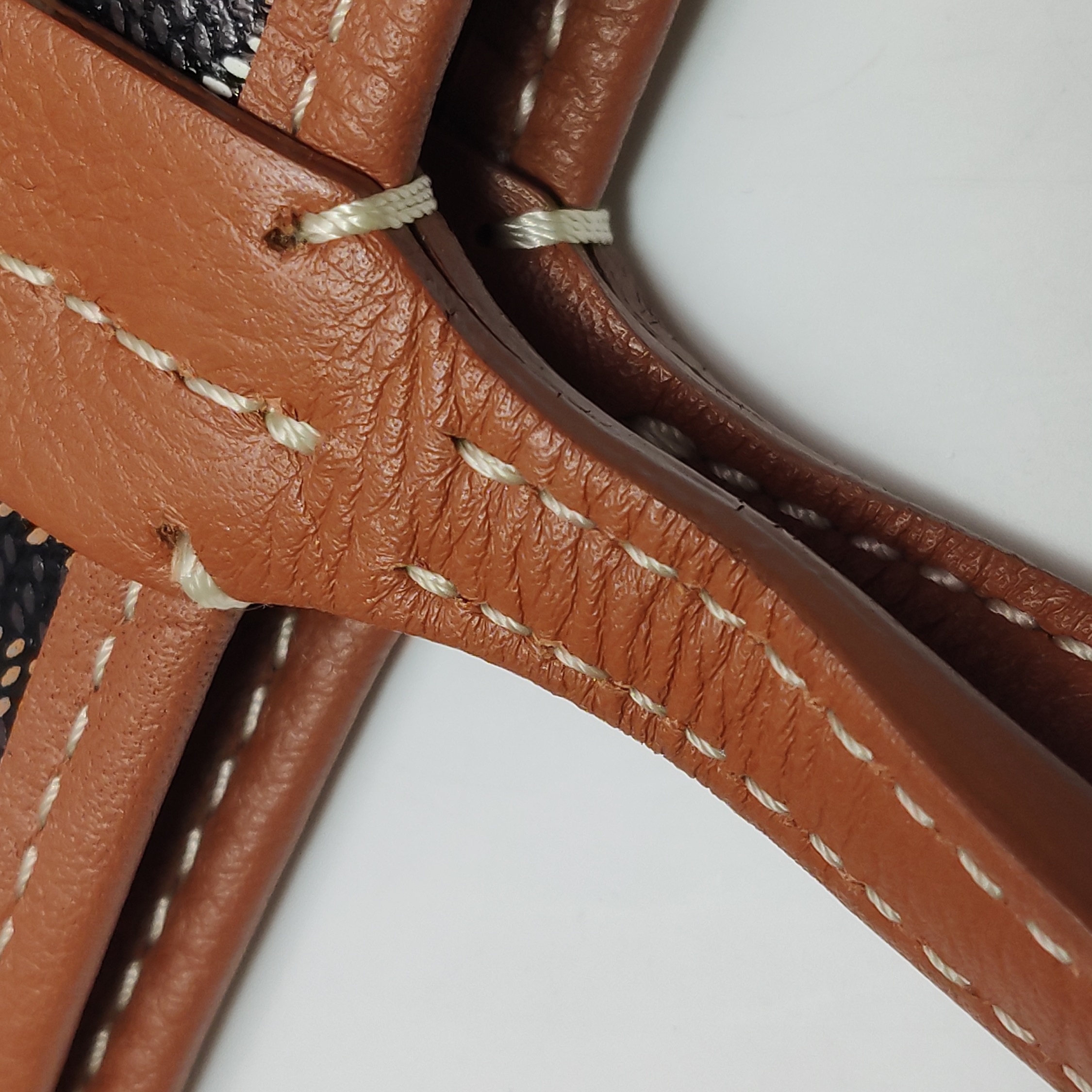 Goyard Anjou Reversible Tote Coated Canvas Mini — photo 16 of 18