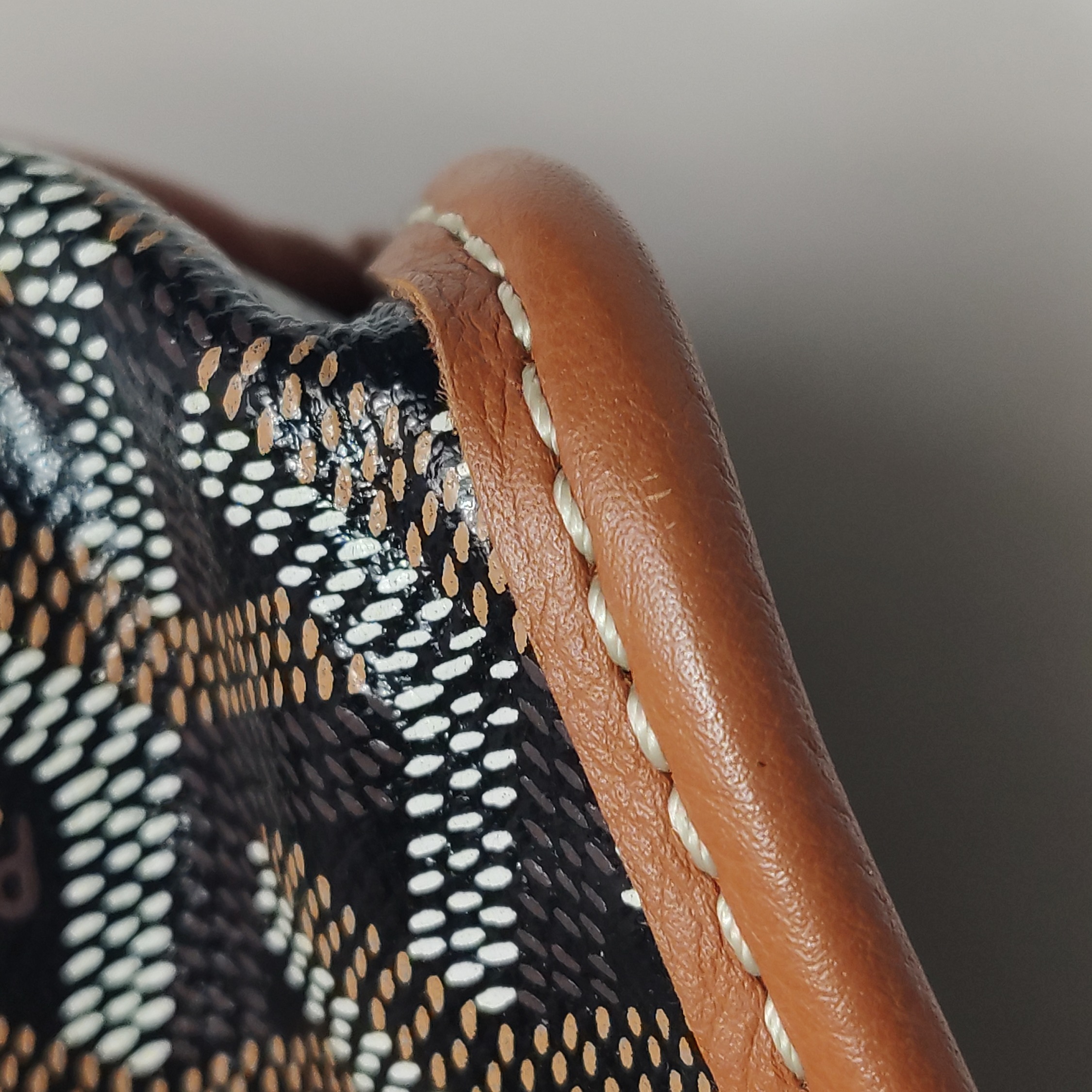 Goyard Anjou Reversible Tote Coated Canvas Mini — photo 18 of 18