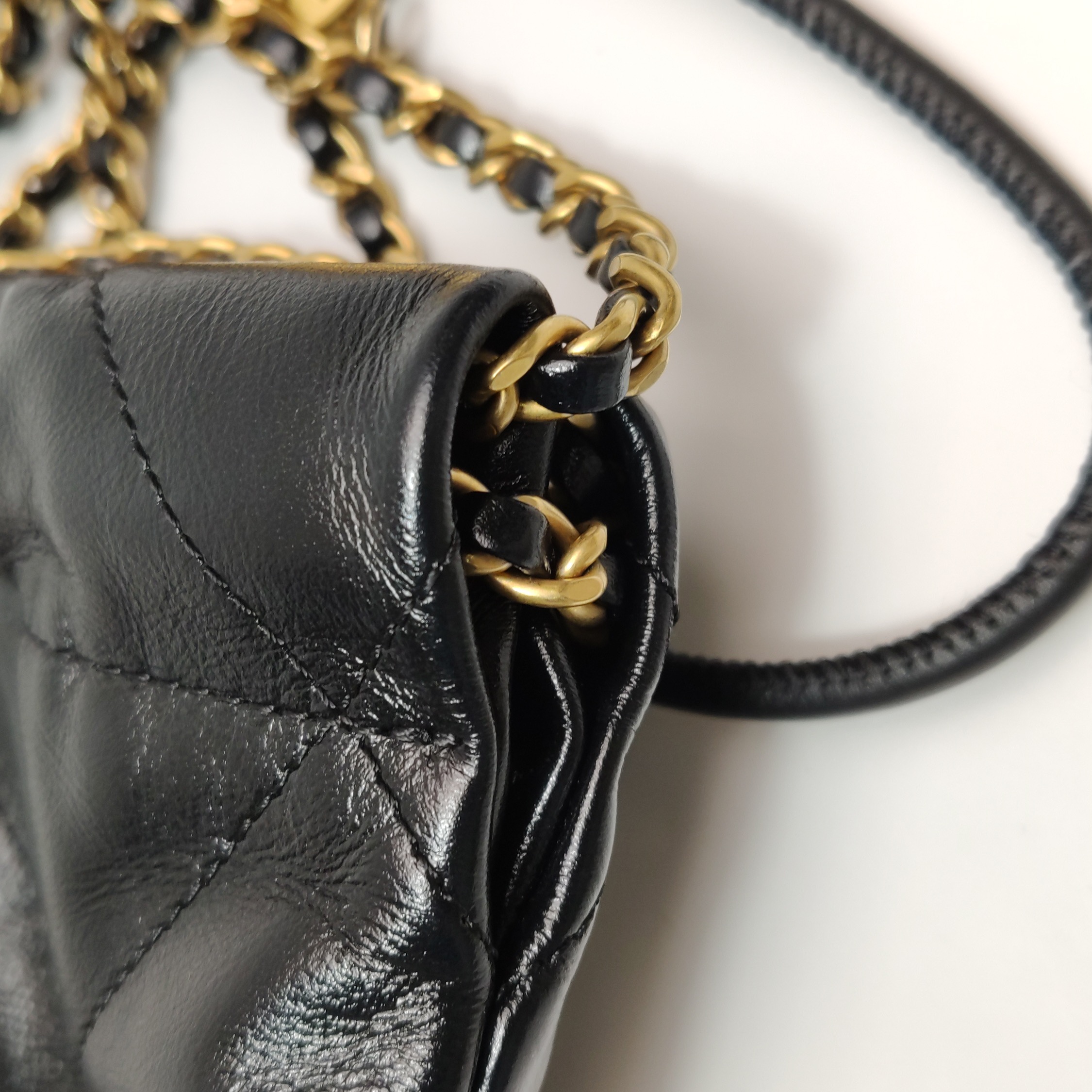 Chanel 22 Chain Hobo Quilted Calfskin Mini — photo 11 of 18