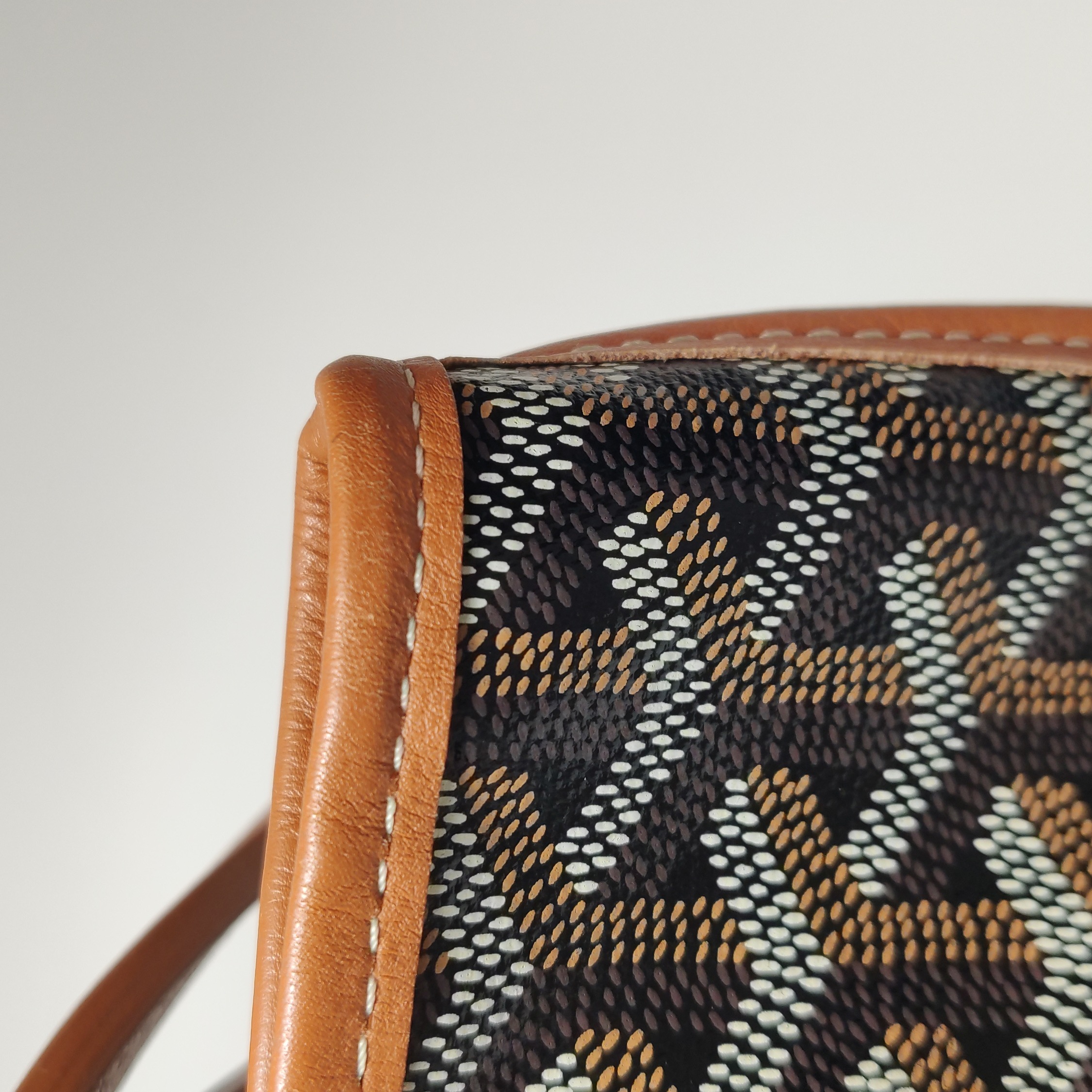 Goyard Anjou Reversible Tote Coated Canvas Mini — photo 9 of 13