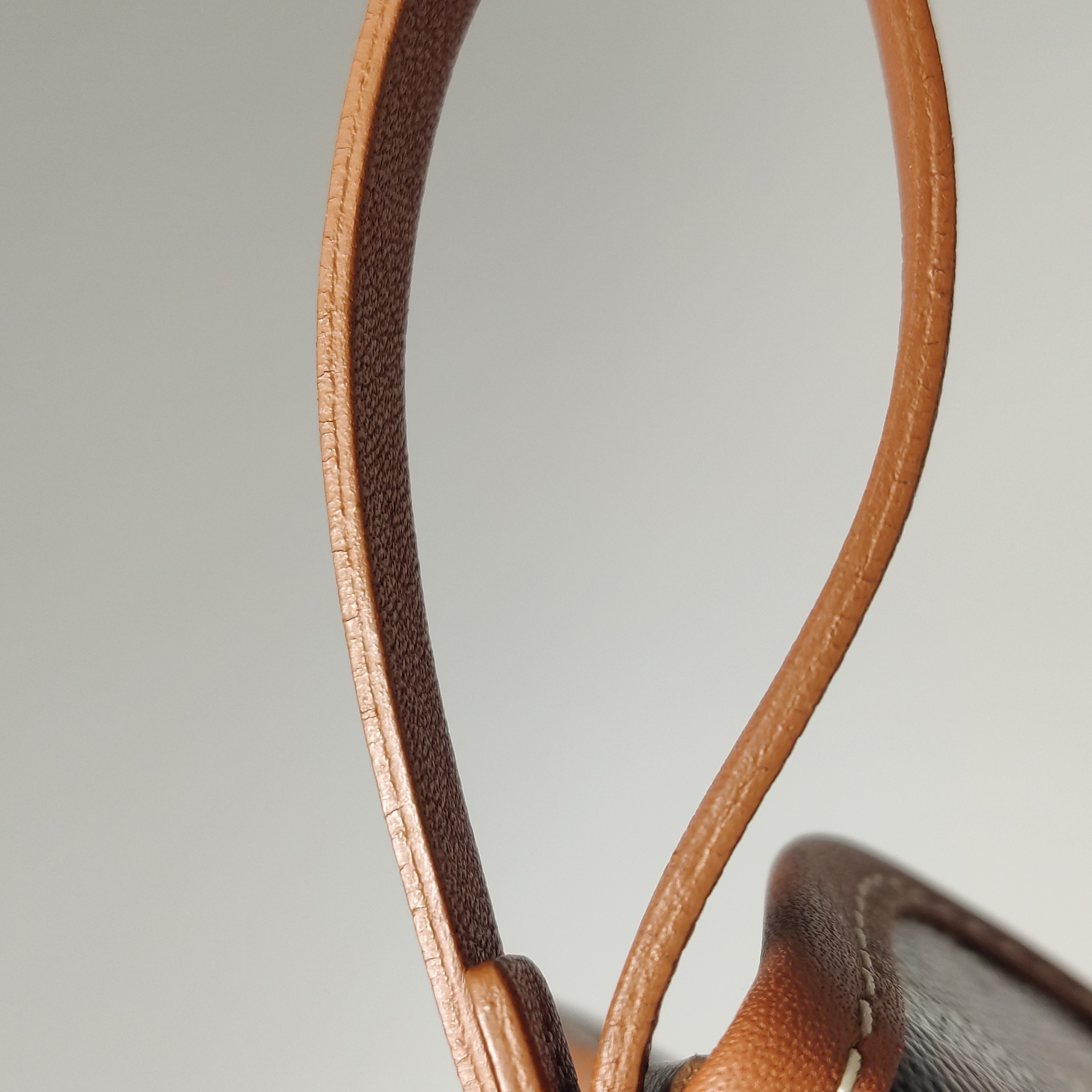 Goyard Anjou Reversible Tote Coated Canvas Mini — photo 13 of 13