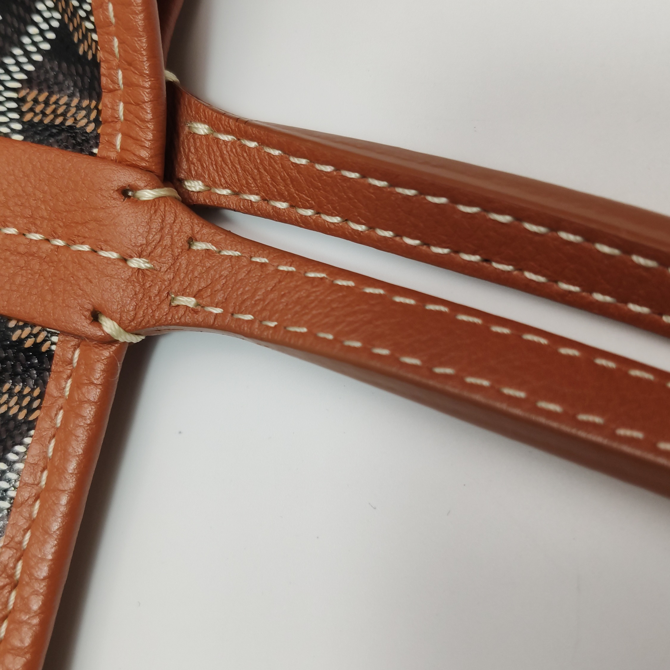 Goyard Anjou Reversible Tote Coated Canvas Mini — photo 19 of 19