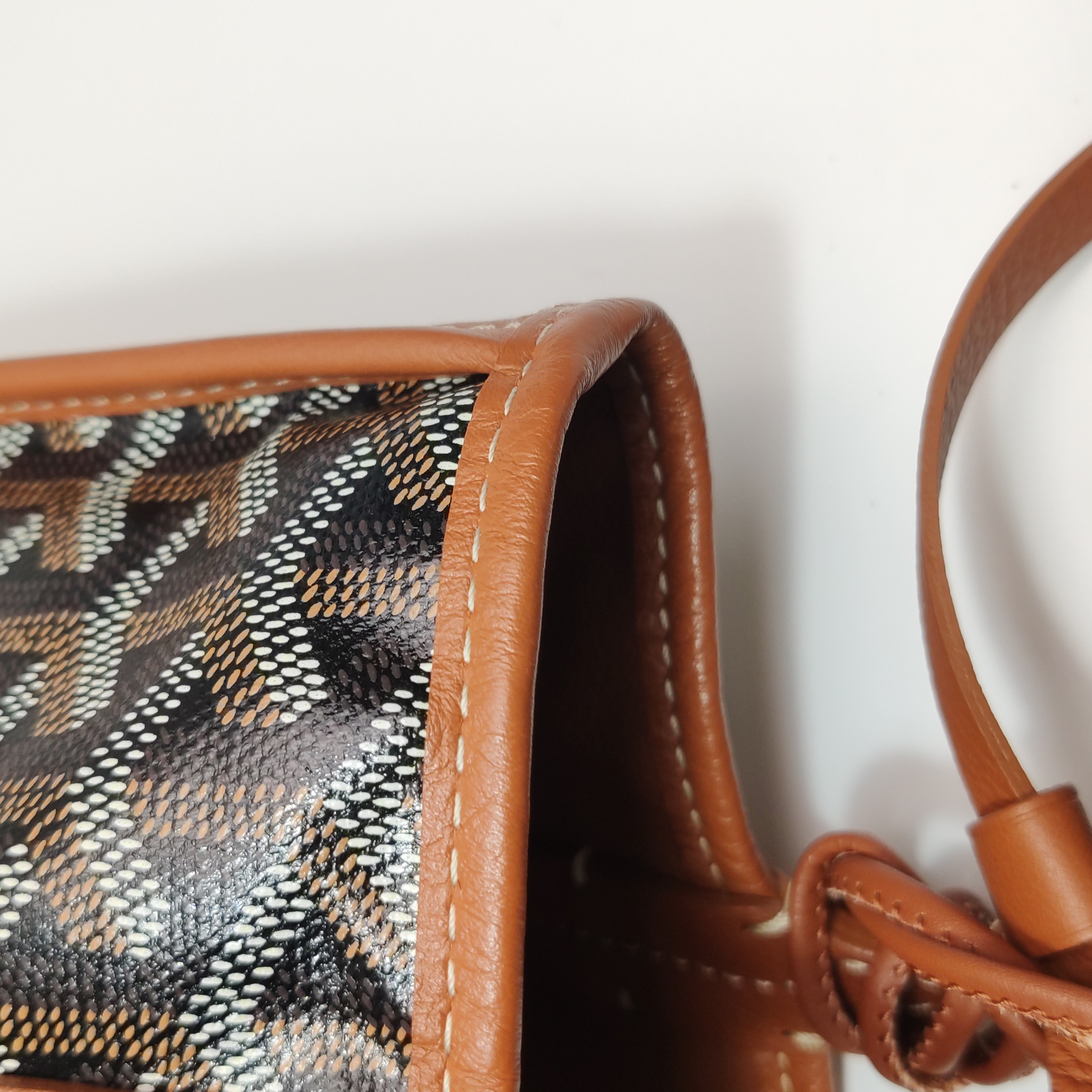Goyard Anjou Reversible Tote Coated Canvas Mini — photo 15 of 19
