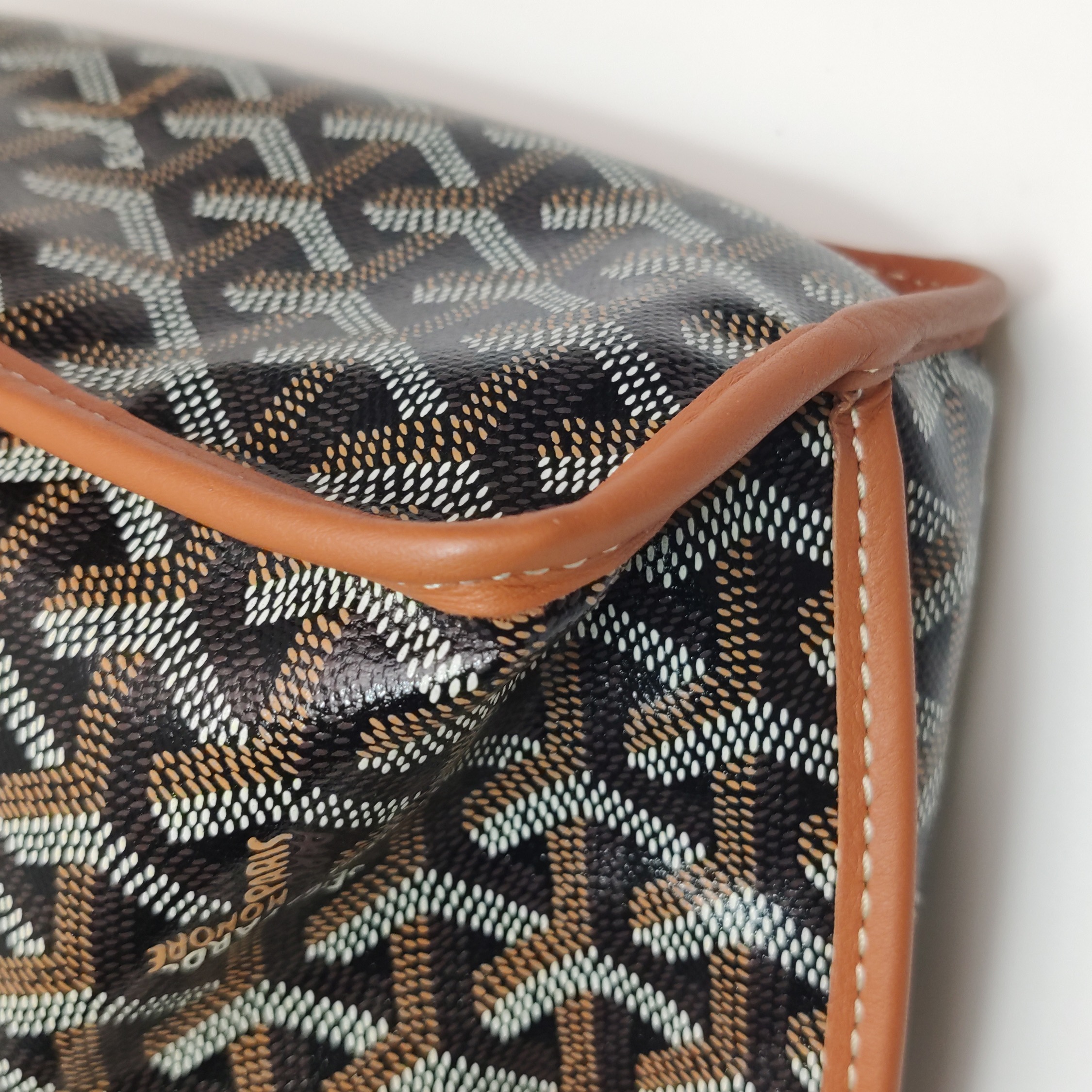 Goyard Anjou Reversible Tote Coated Canvas Mini — photo 14 of 19