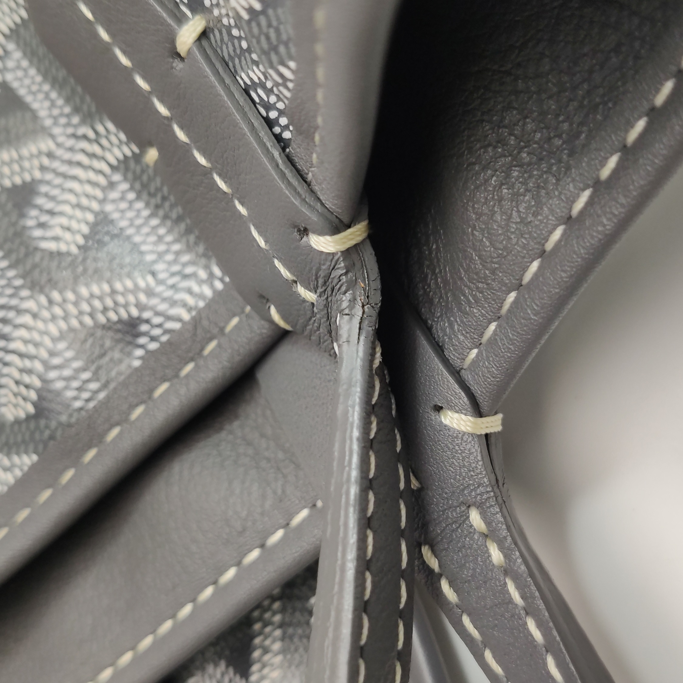 Goyard Anjou Reversible Tote Coated Canvas Mini — photo 13 of 13