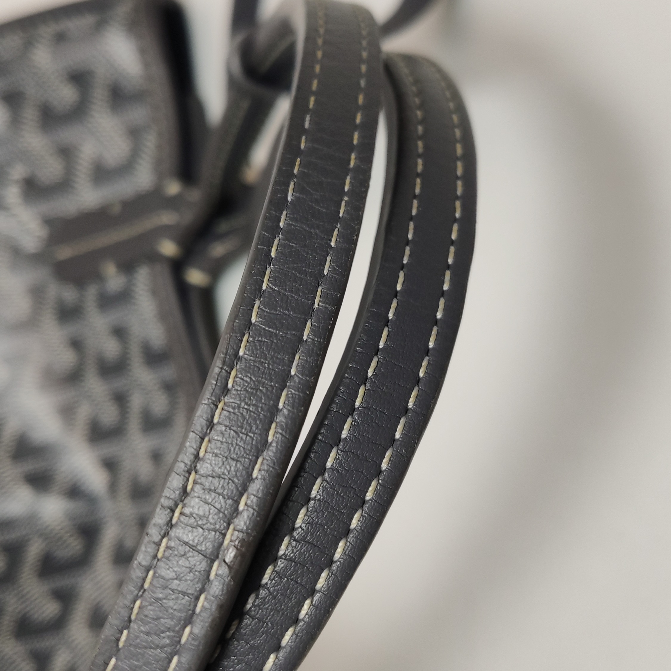 Goyard Anjou Reversible Tote Coated Canvas Mini — photo 20 of 20