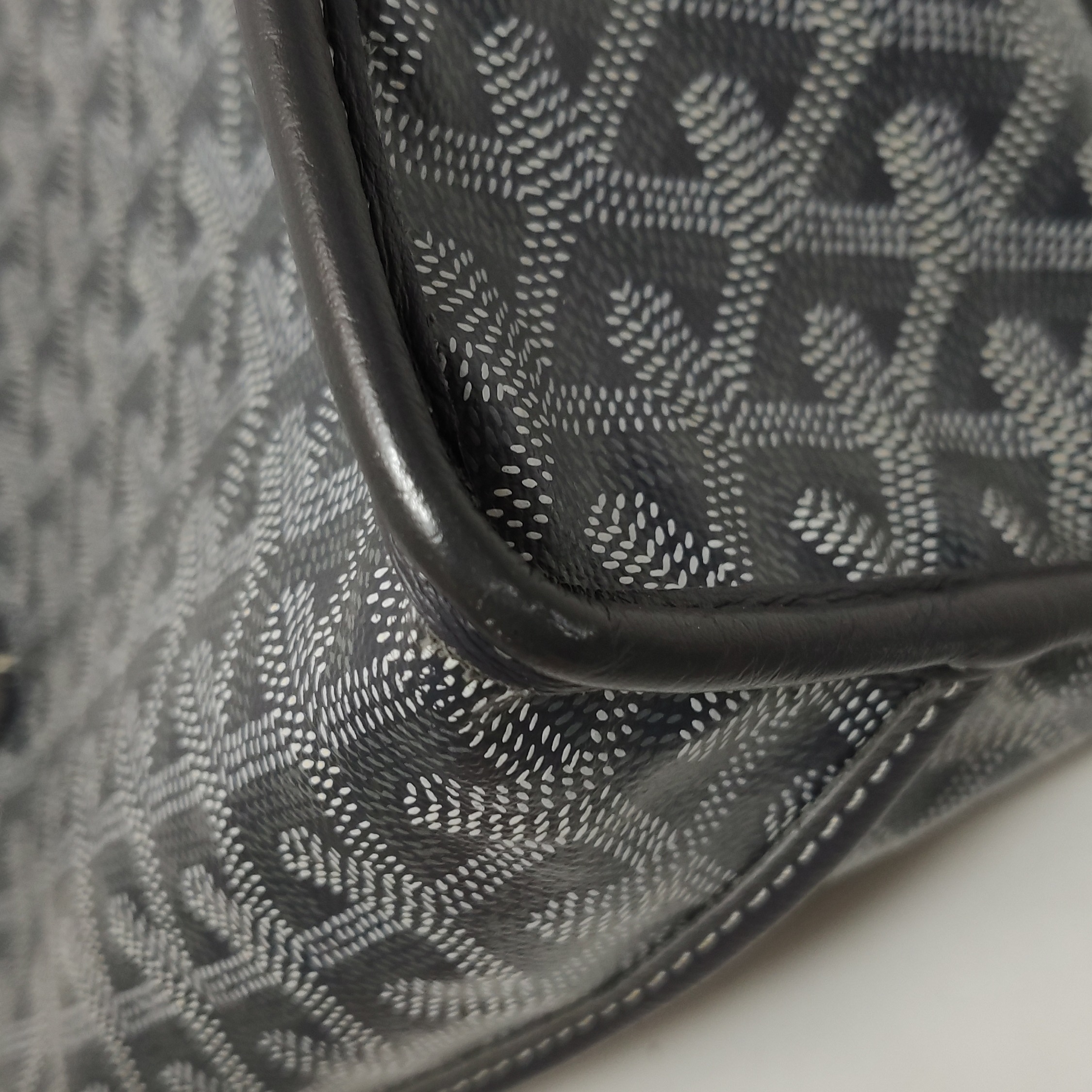 Goyard Anjou Reversible Tote Coated Canvas Mini — photo 18 of 20