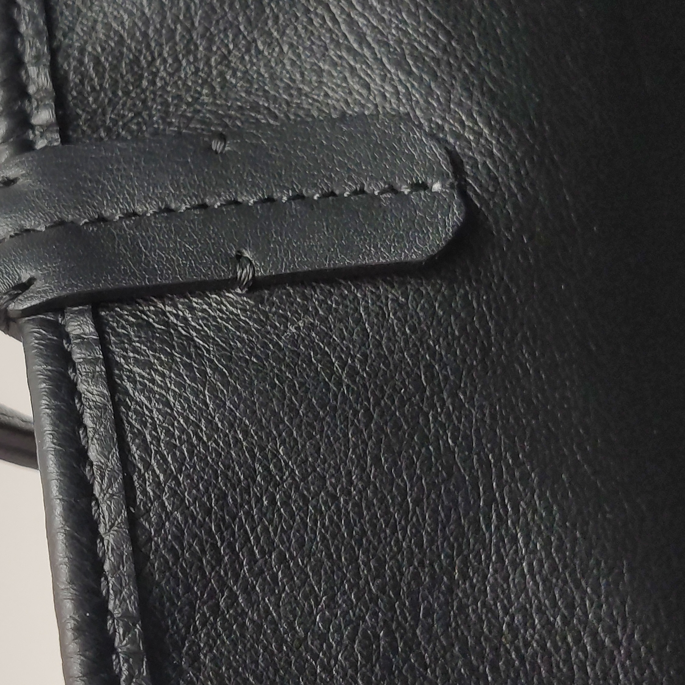 Goyard Anjou Reversible Tote Coated Canvas Mini — photo 17 of 20
