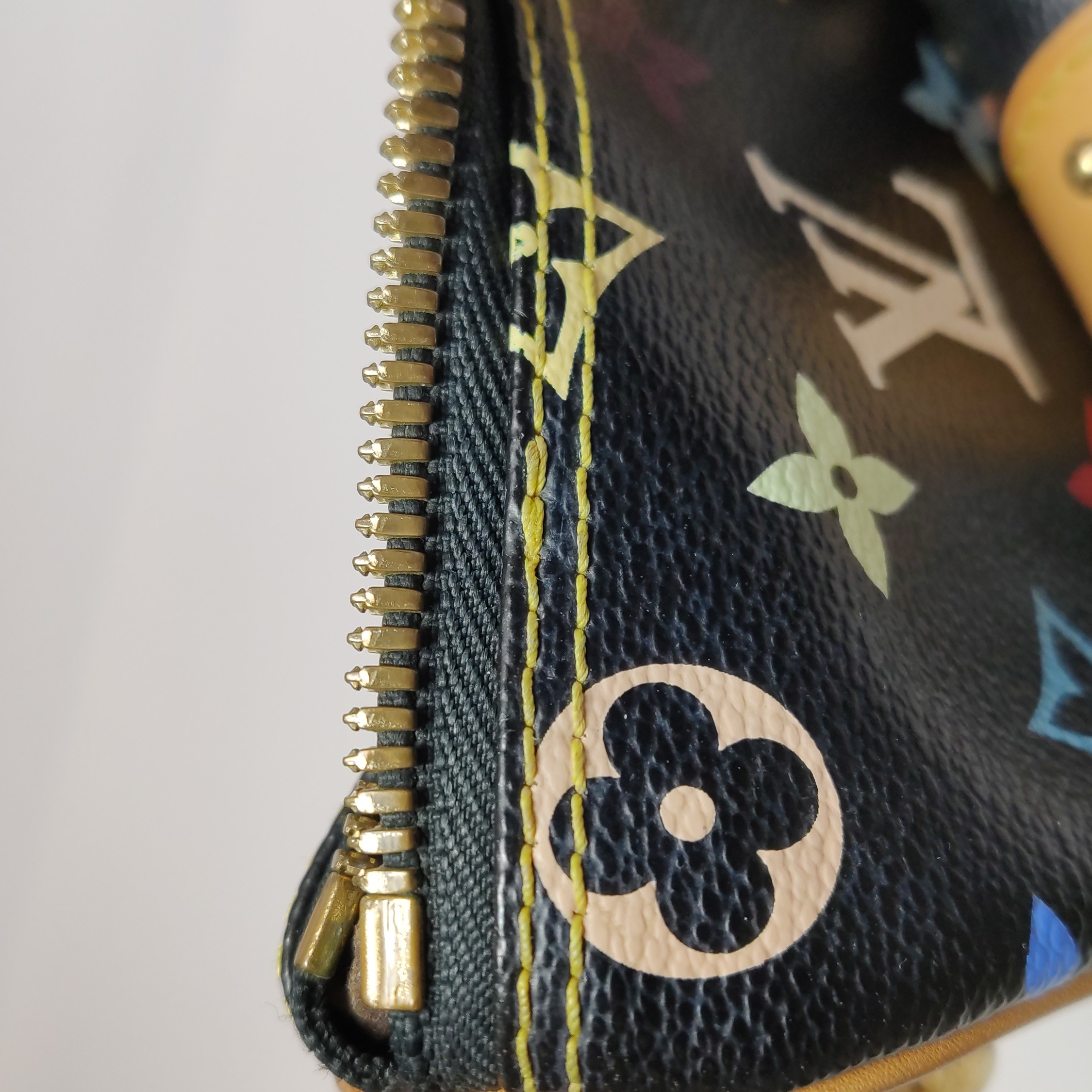 Louis Vuitton(LV) Rita Handbag Monogram Multicolor — photo 11 of 21