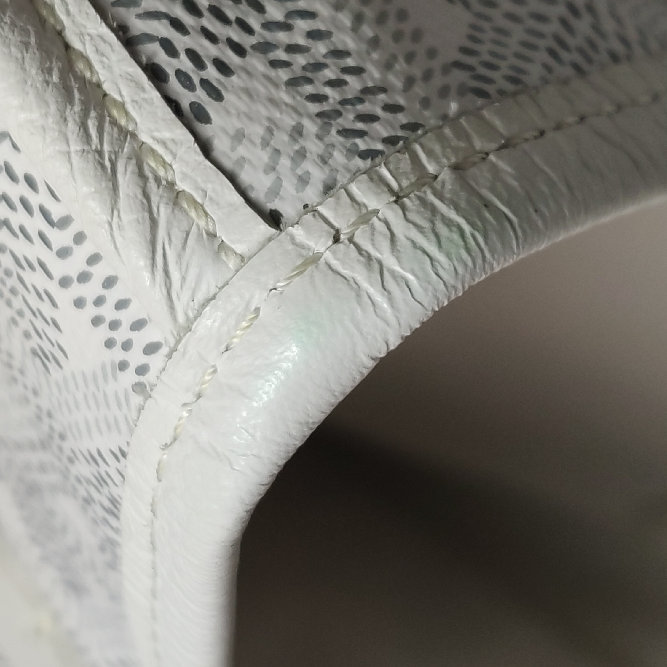 Goyard Anjou Reversible Tote Coated Canvas Mini — photo 12 of 14