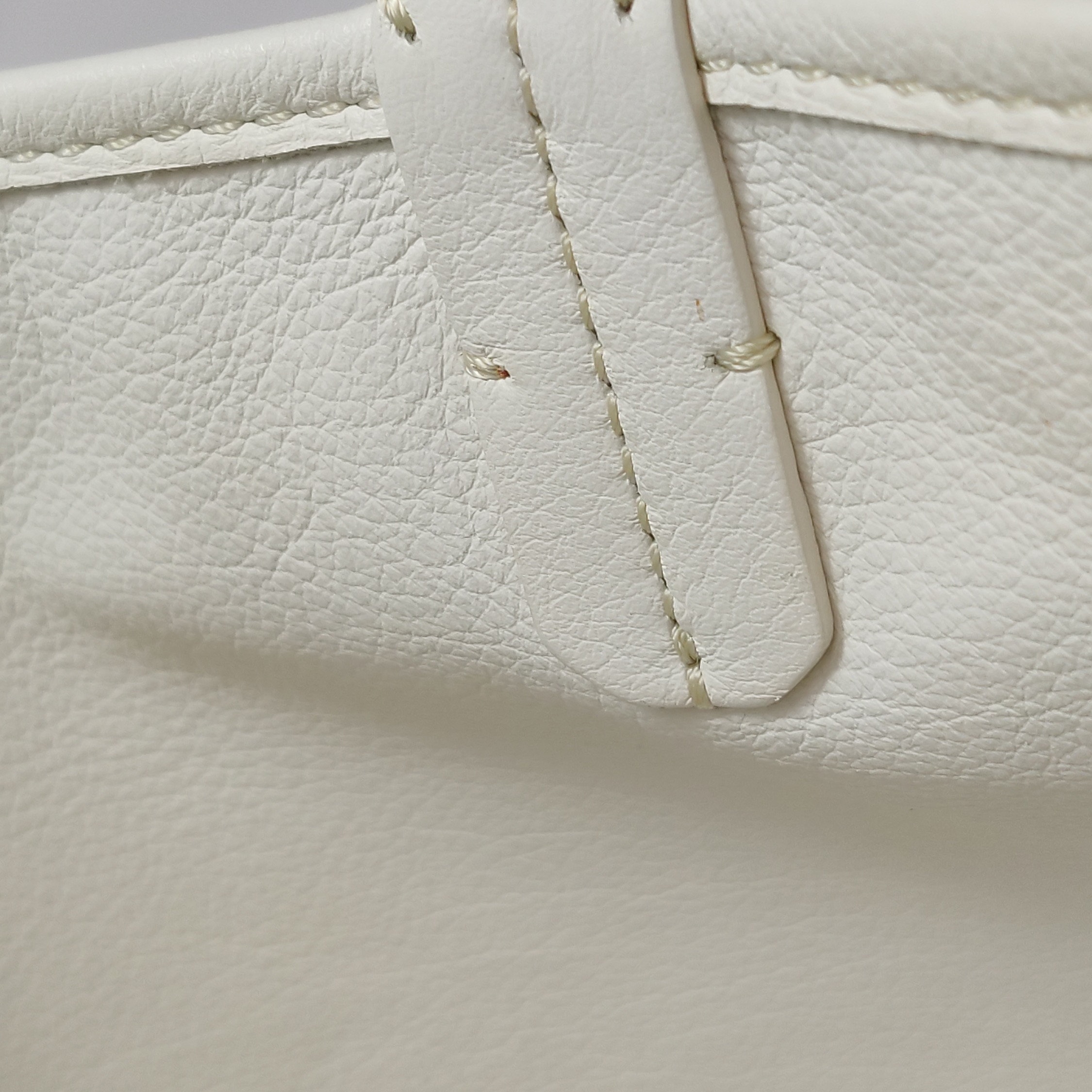 Goyard Anjou Reversible Tote Coated Canvas Mini — photo 17 of 19