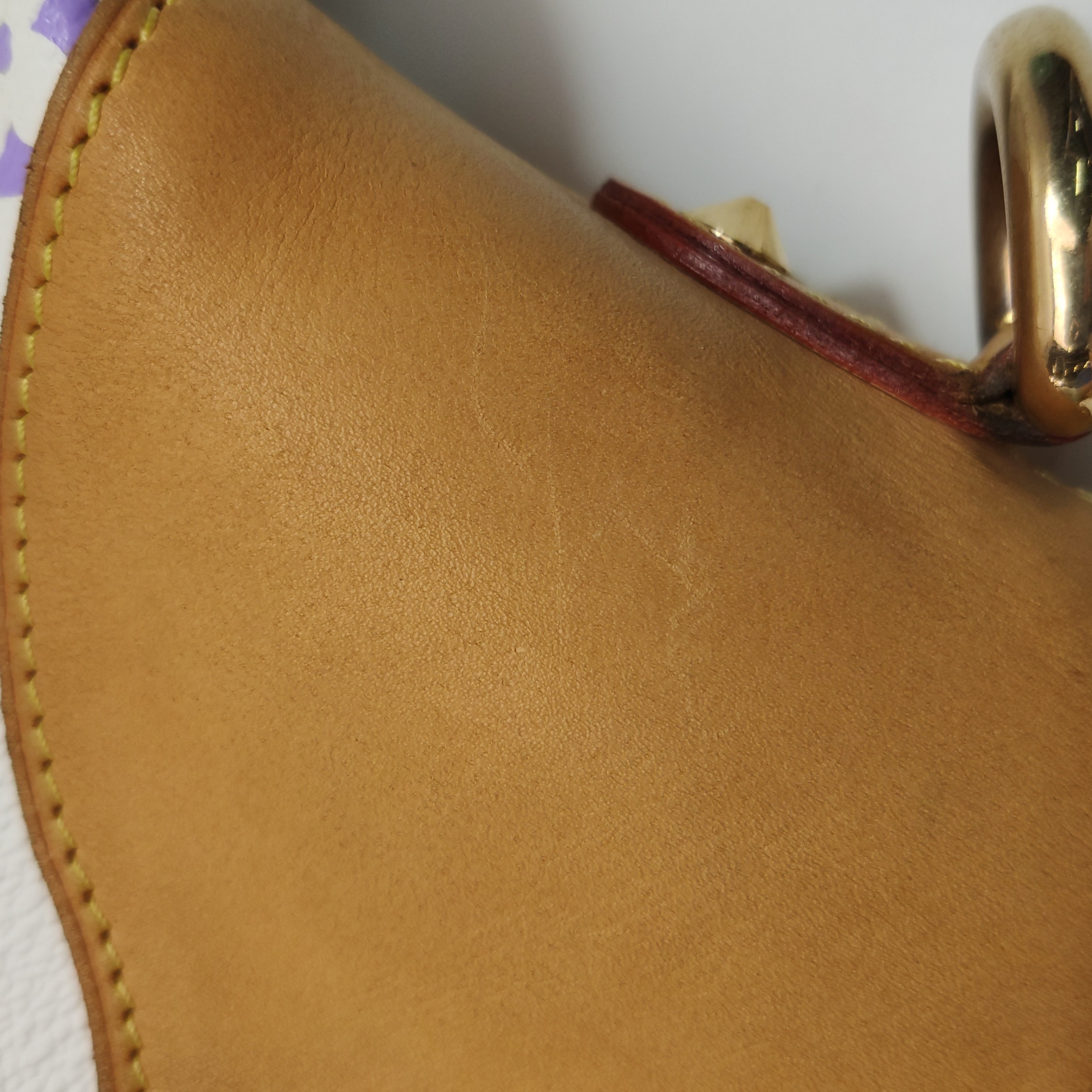 Louis Vuitton(LV) Judy Handbag Monogram Multicolor Large — photo 14 of 25