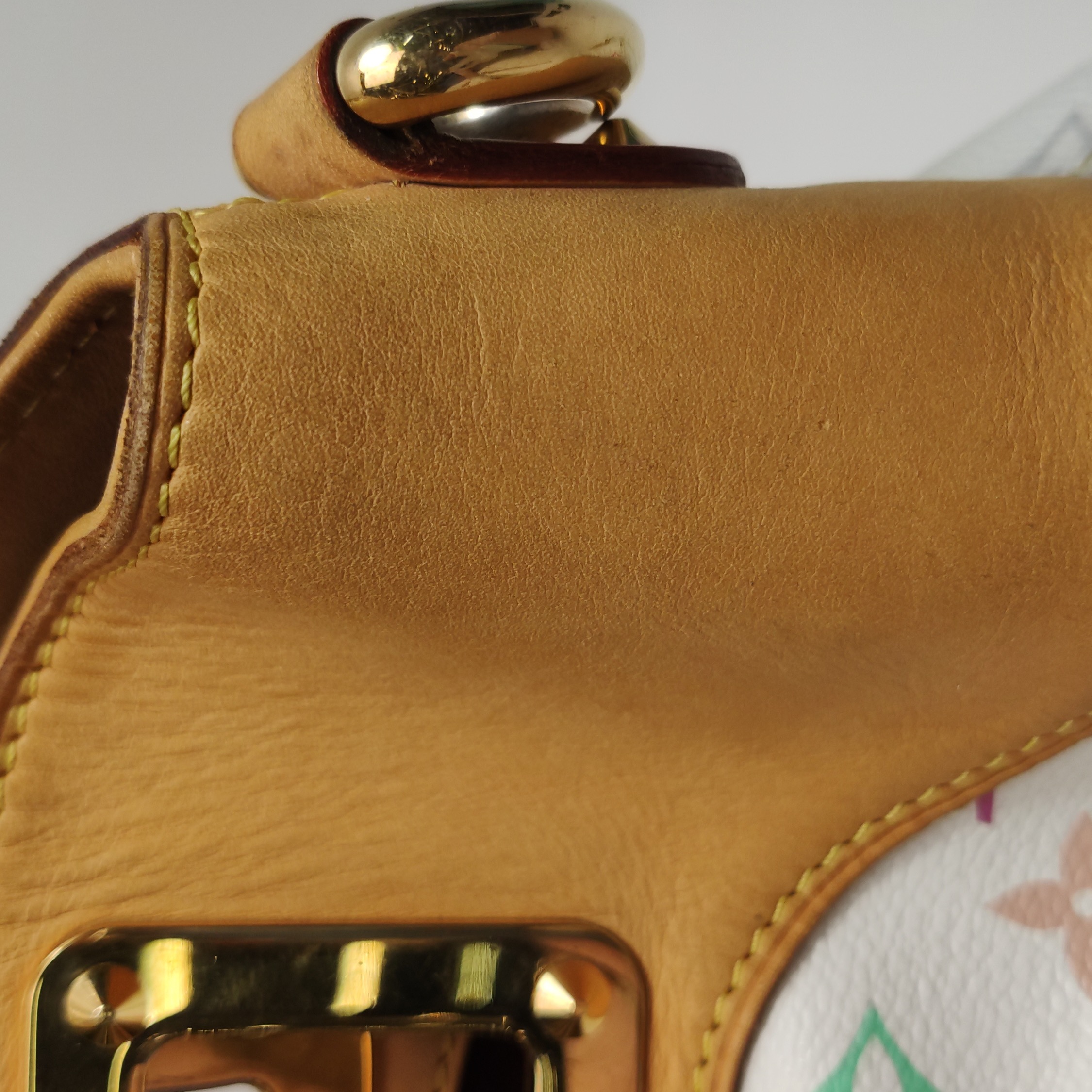 Louis Vuitton(LV) Judy Handbag Monogram Multicolor Large — photo 17 of 25
