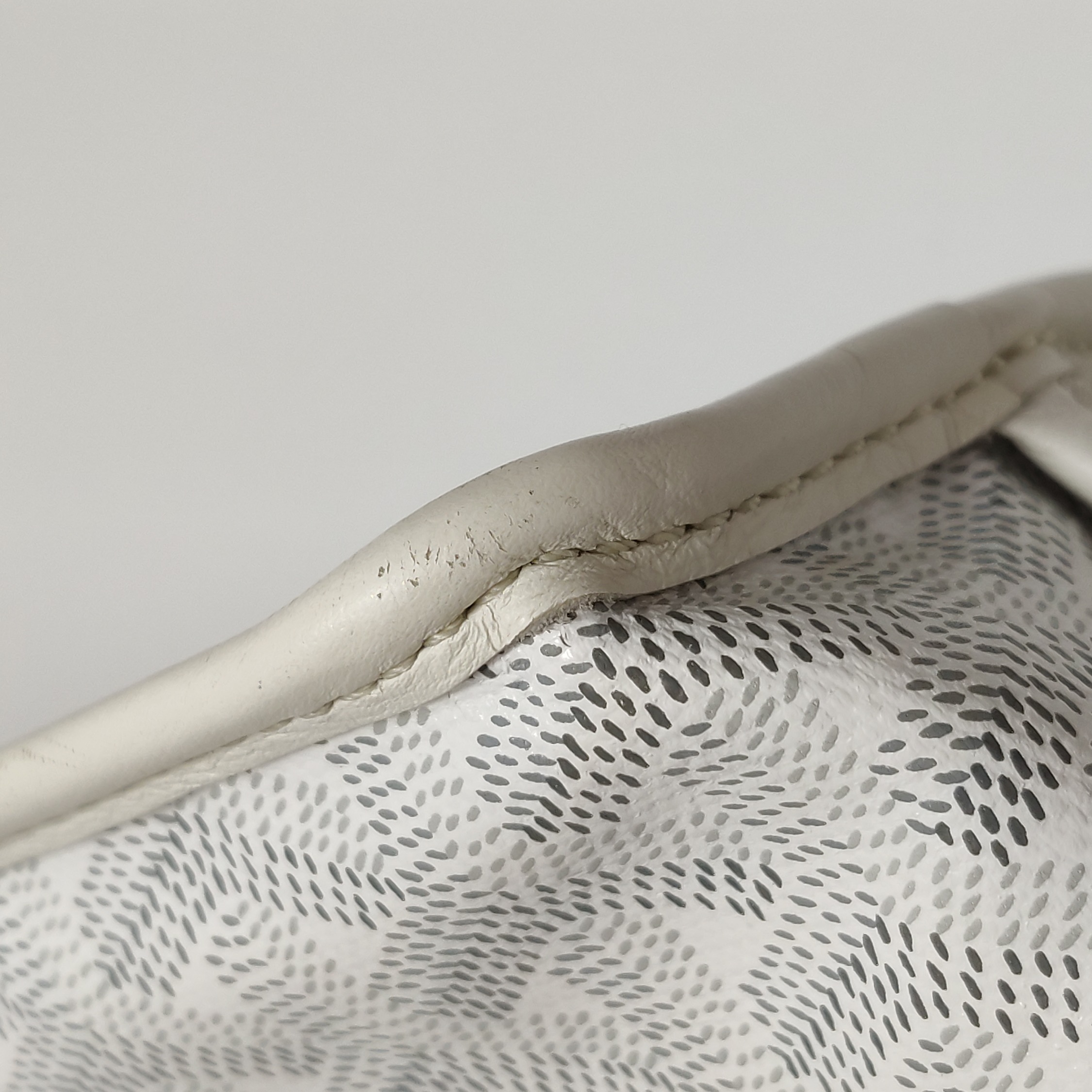 Goyard Anjou Reversible Tote Coated Canvas Mini — photo 17 of 19