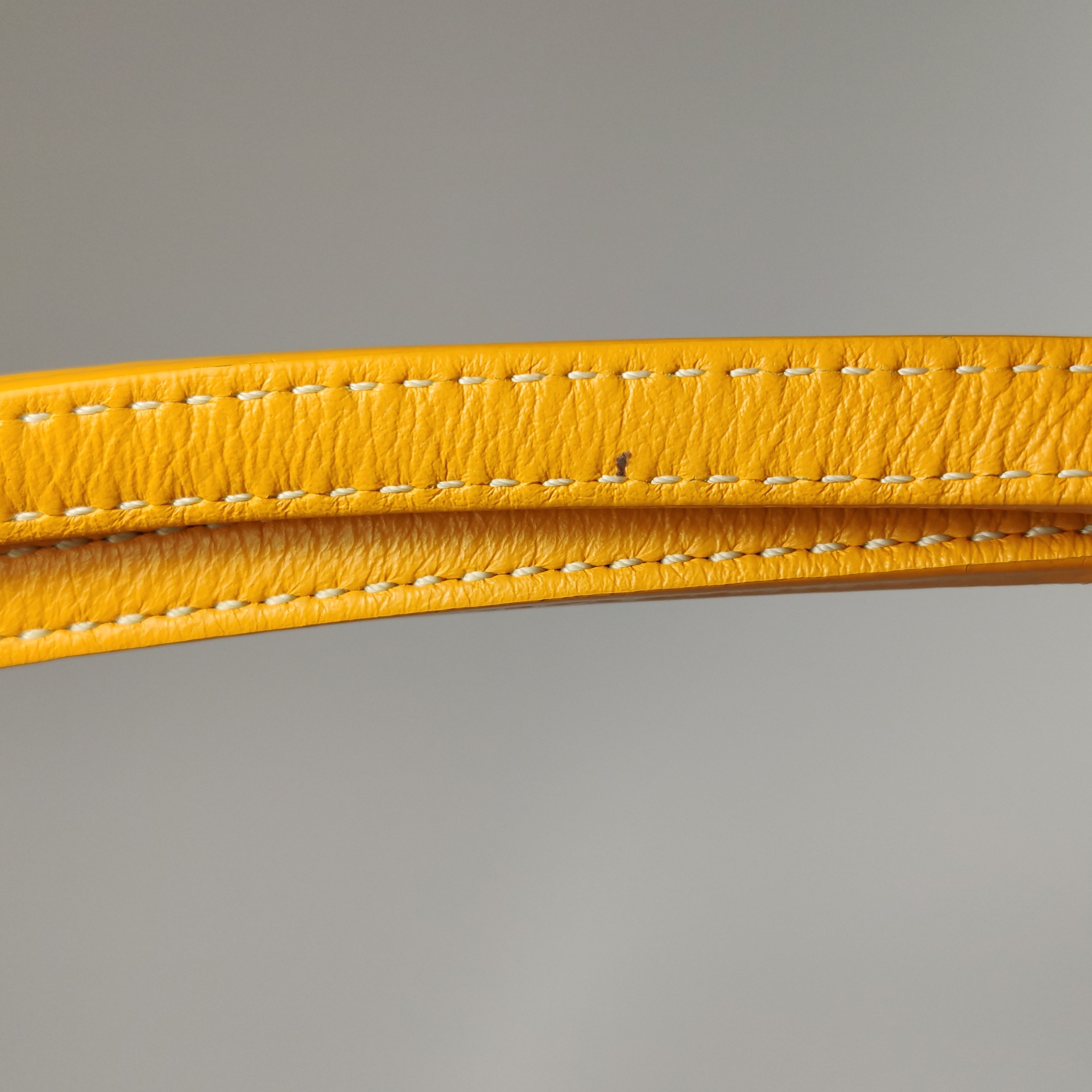 Goyard Anjou Reversible Tote Coated Canvas Mini — photo 14 of 15