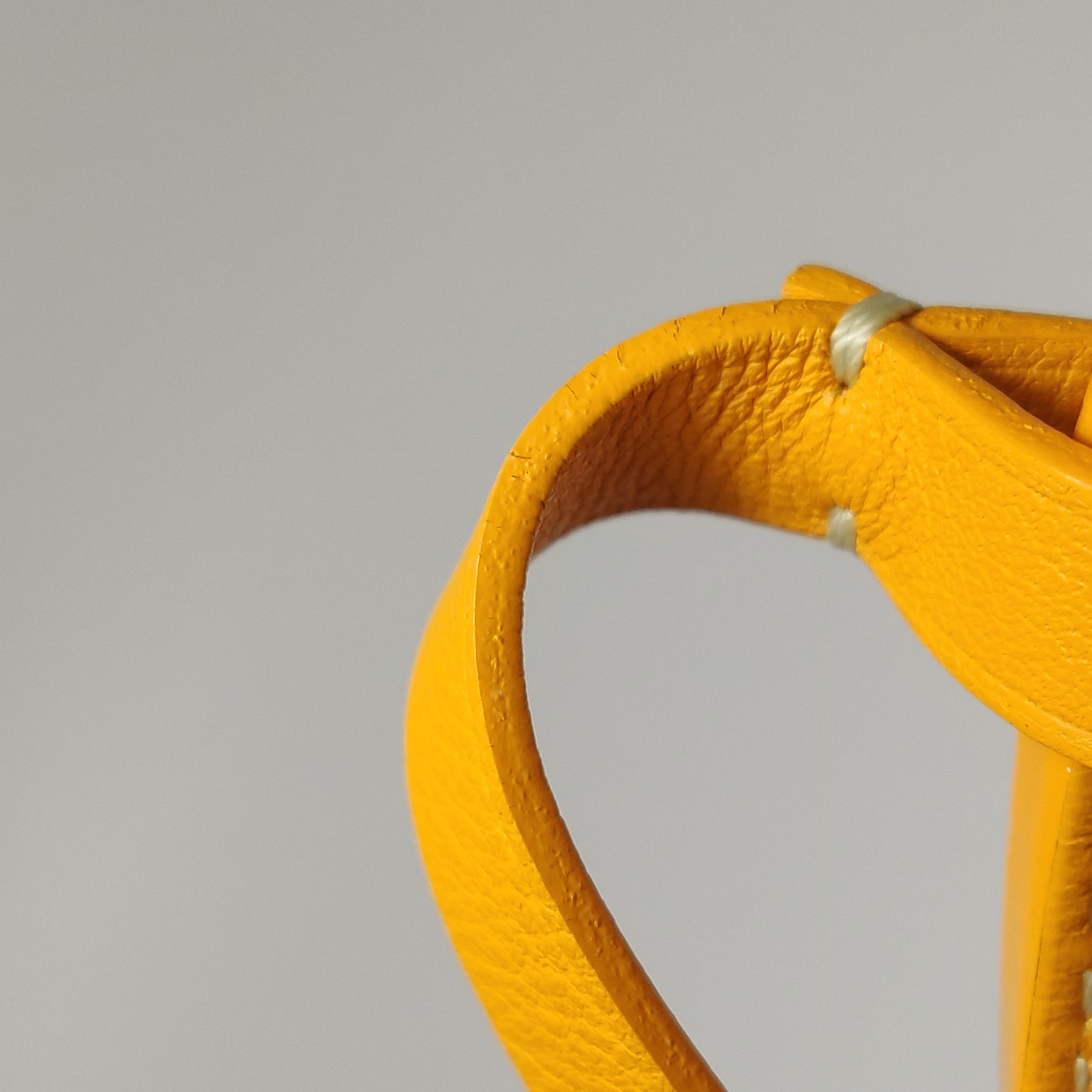Goyard Anjou Reversible Tote Coated Canvas Mini — photo 15 of 15