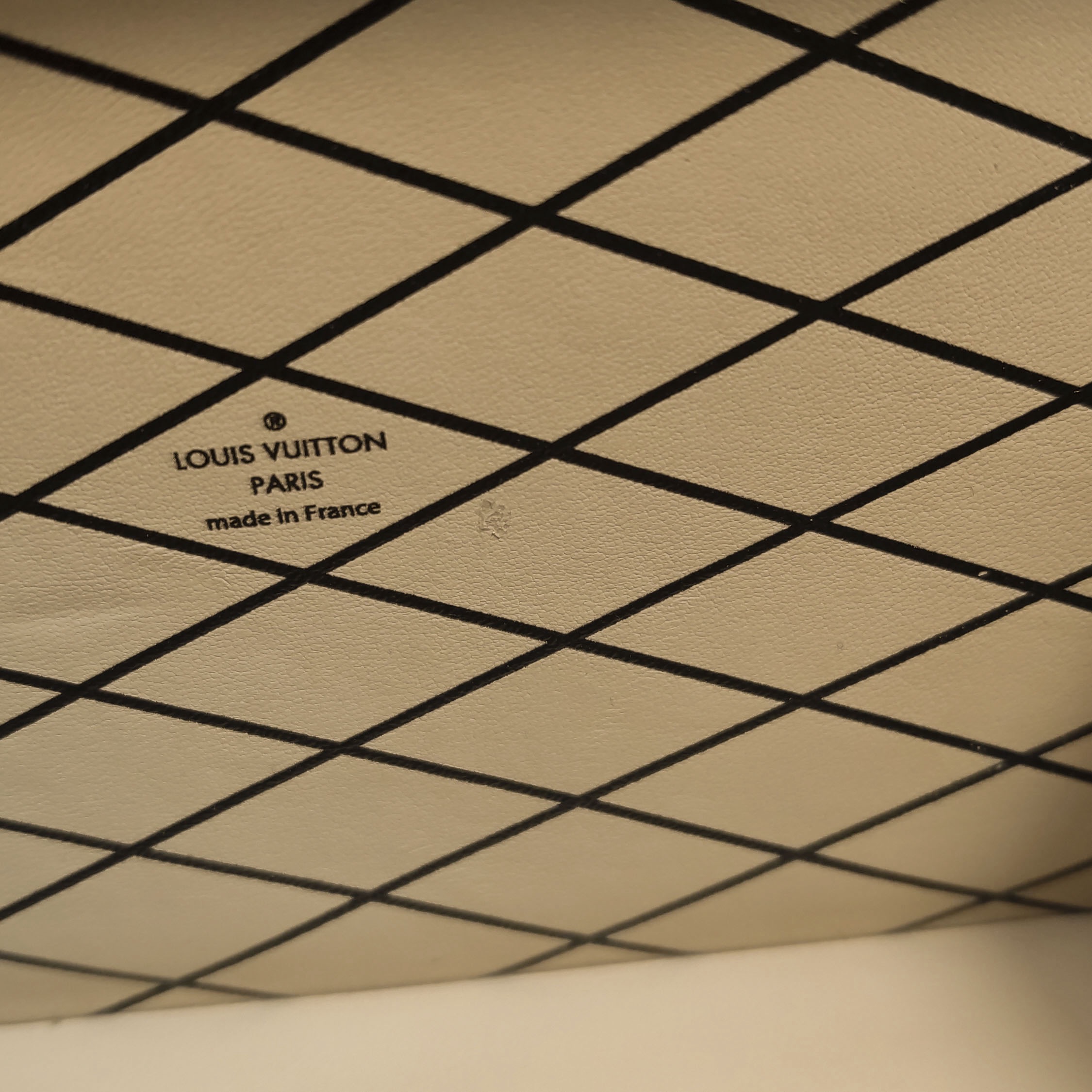 Louis Vuitton(LV) Petite Malle Handbag Limited Edition Grace Coddington Catogram Canvas — photo 11 of 23