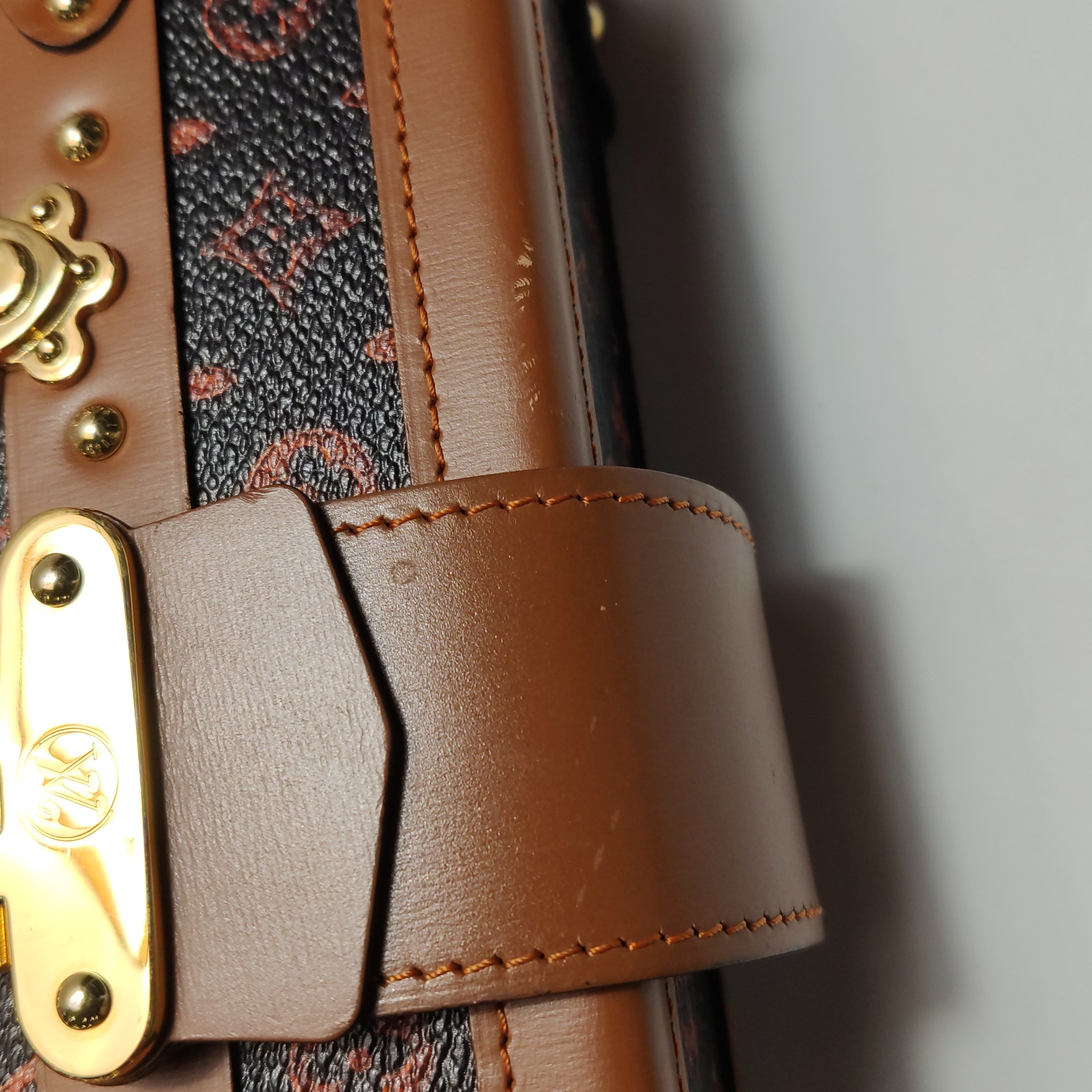 Louis Vuitton(LV) Petite Malle Handbag Limited Edition Grace Coddington Catogram Canvas — photo 19 of 23