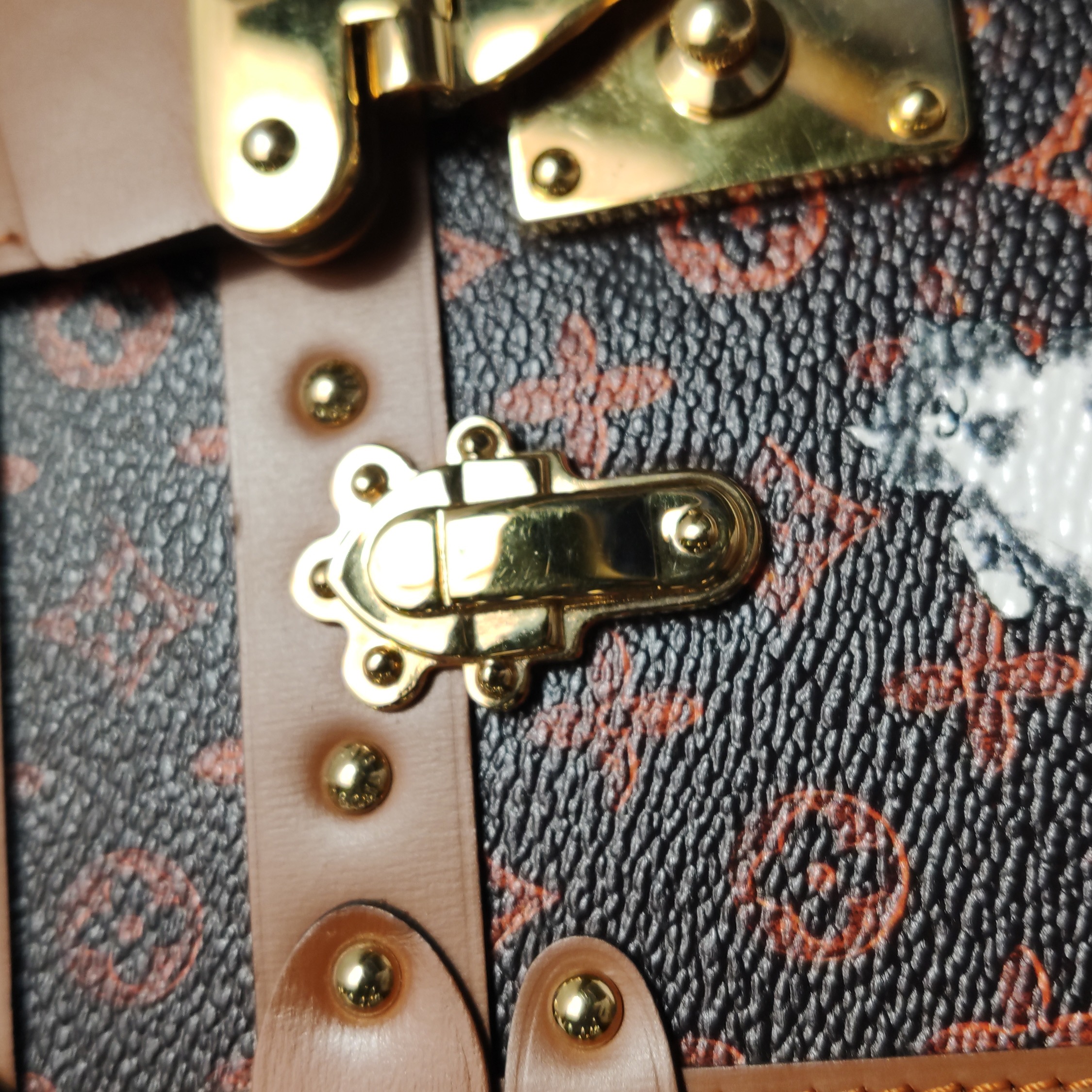Louis Vuitton(LV) Petite Malle Handbag Limited Edition Grace Coddington Catogram Canvas — photo 14 of 23