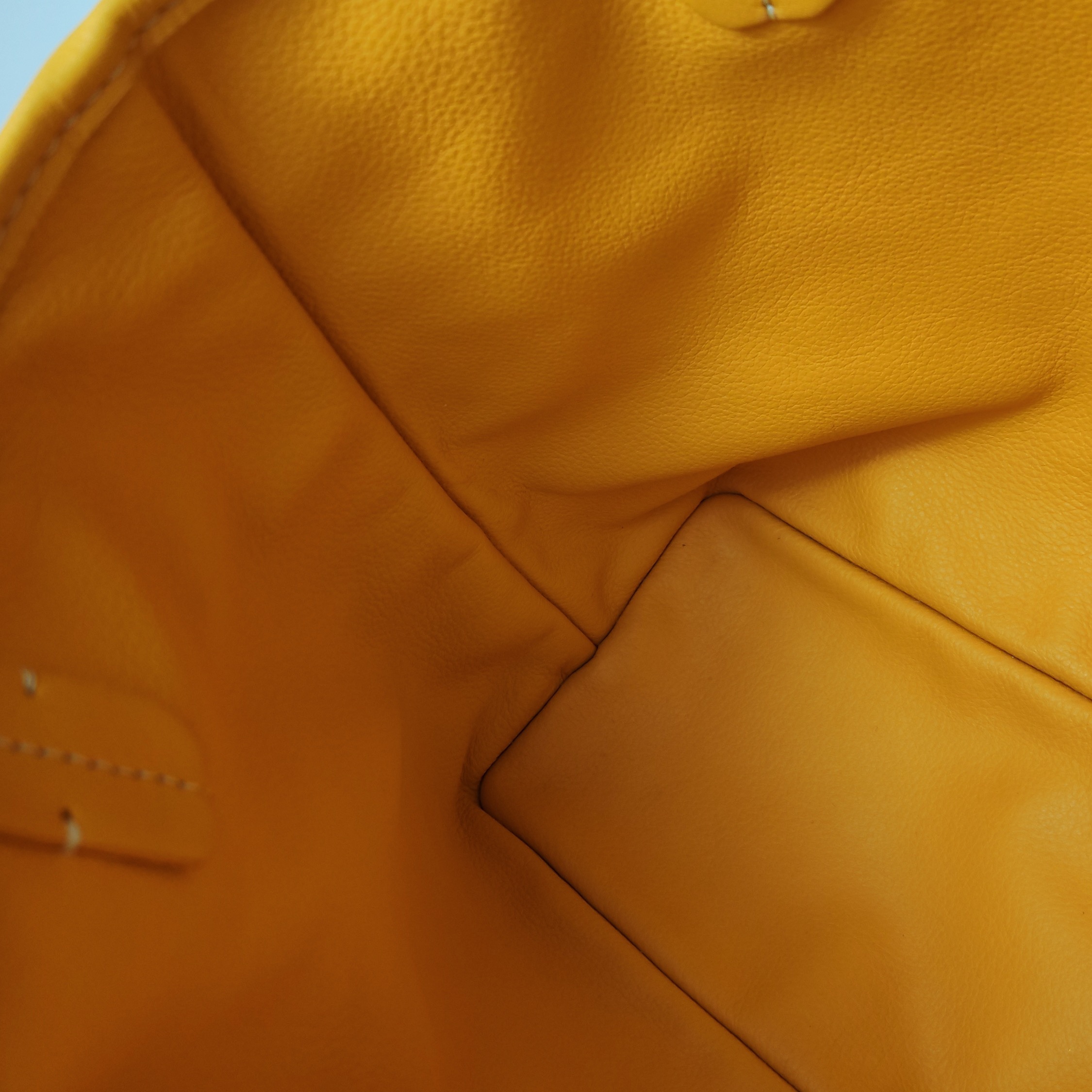 Goyard Anjou Reversible Tote Coated Canvas Mini — photo 10 of 14