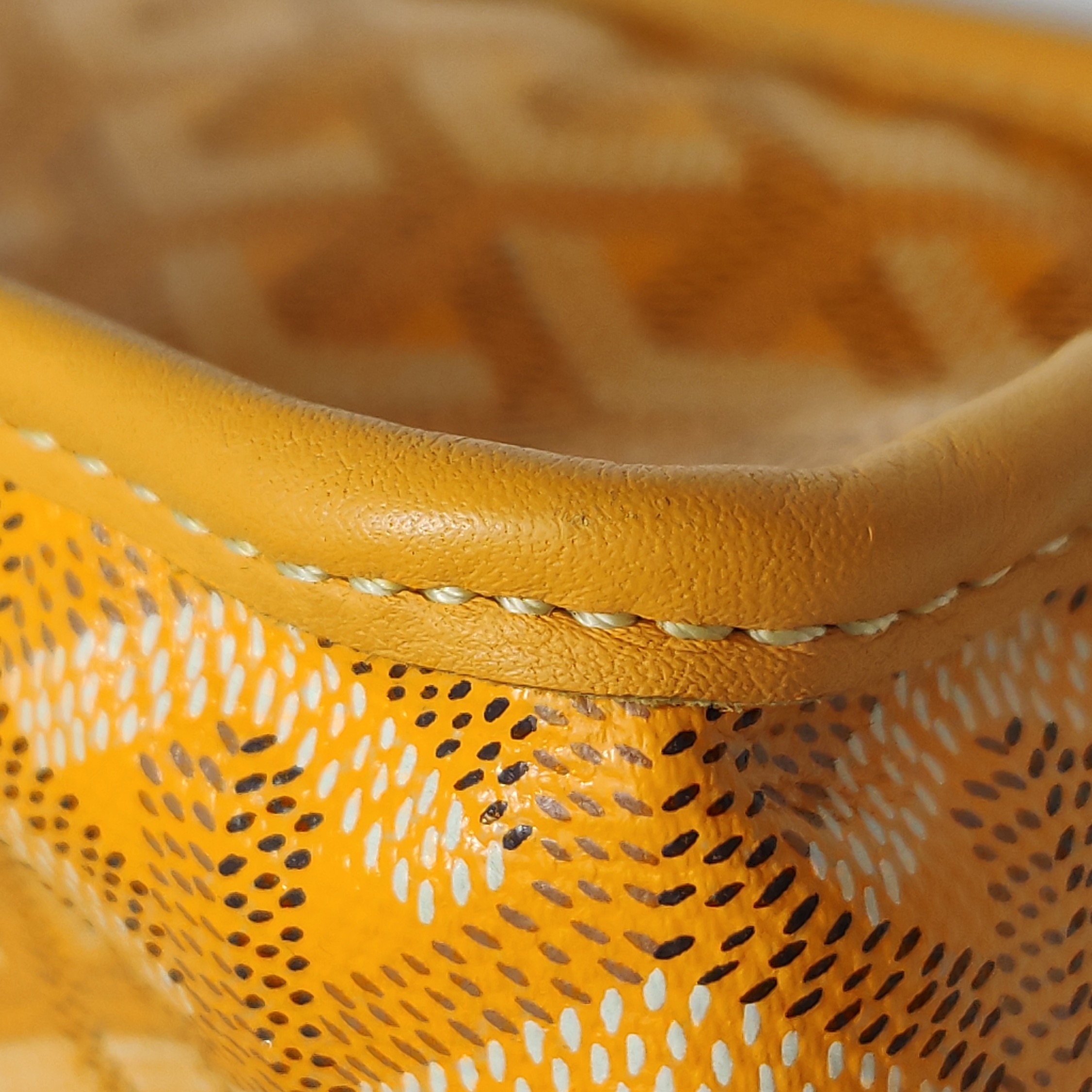 Goyard Anjou Reversible Tote Coated Canvas Mini — photo 12 of 14