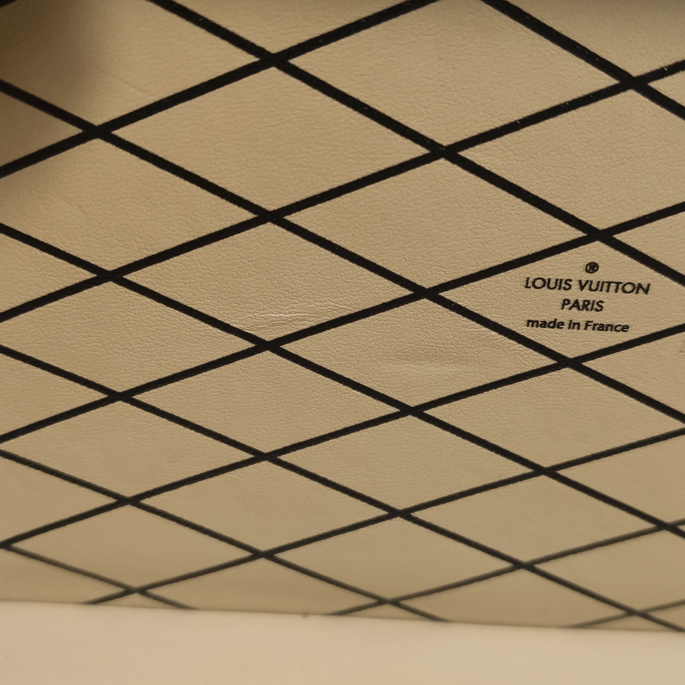 Louis Vuitton(LV) Petite Malle Handbag Limited Edition Grace Coddington Catogram Canvas — photo 9 of 23