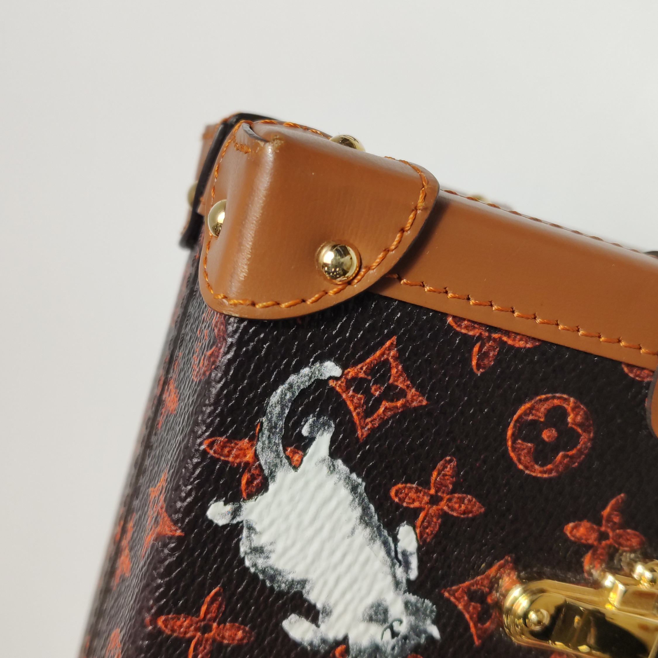 Louis Vuitton(LV) Petite Malle Handbag Limited Edition Grace Coddington Catogram Canvas — photo 17 of 23