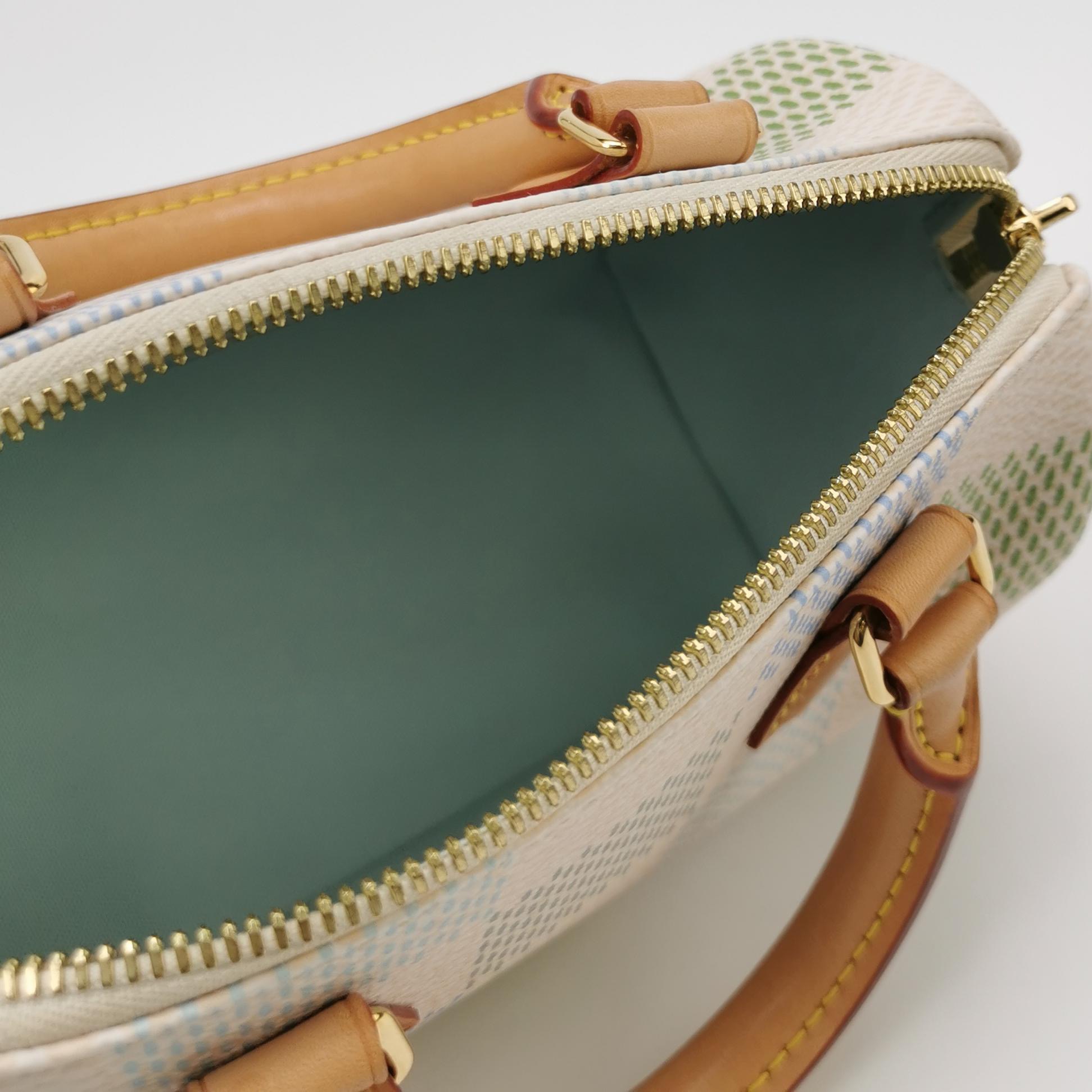 Louis Vuitton(LV) Speedy Bandouliere Bag Limited Edition Damierlicious Giant 20 — photo 7 of 19