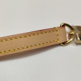Louis Vuitton(LV) Speedy Bandouliere Bag Limited Edition Damierlicious Giant 20 — thumbnail 15
