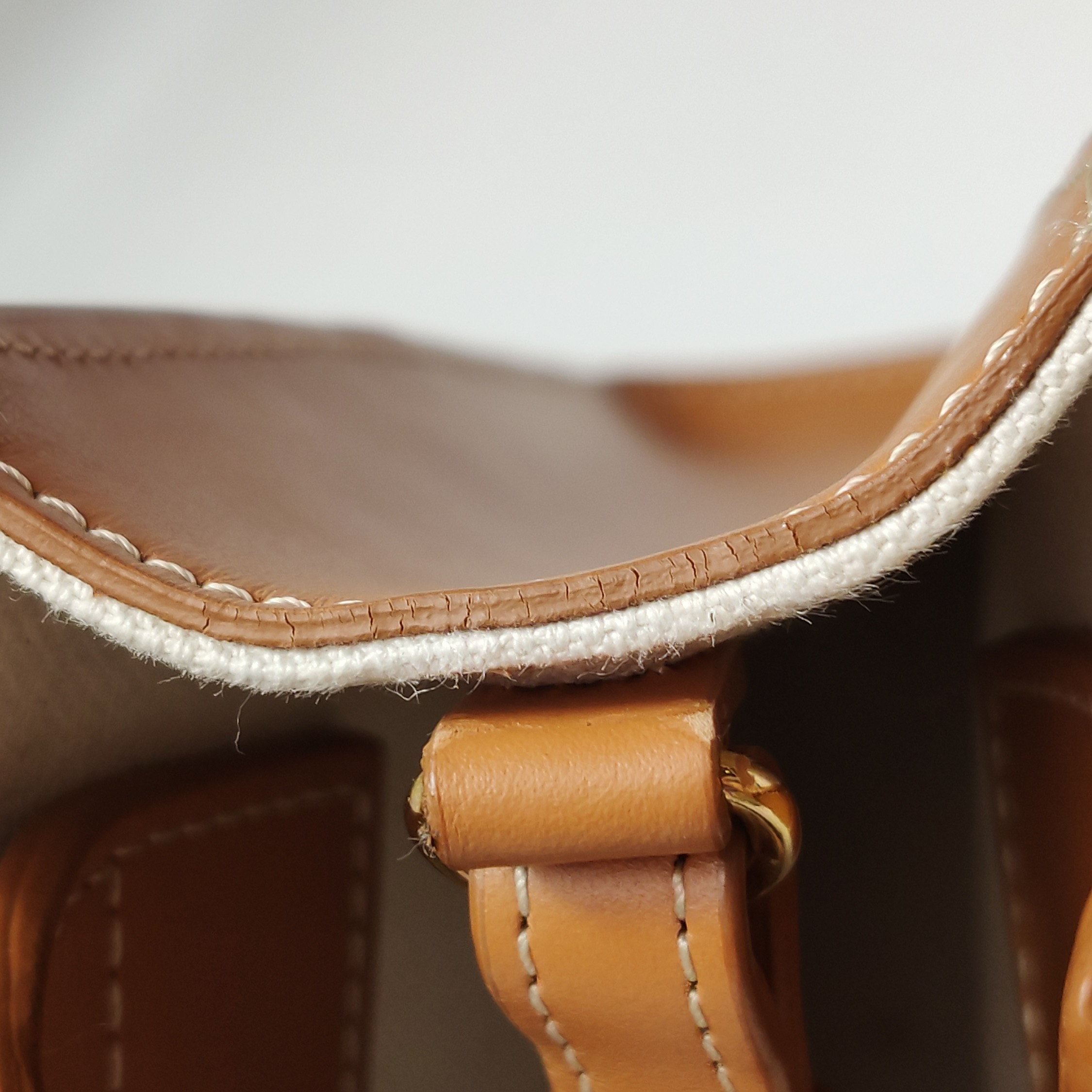 Celine Vertical Cabas Tote Canvas with Leather Mini — photo 8 of 13