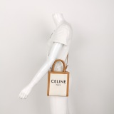 Celine Vertical Cabas Tote Canvas with Leather Mini — thumbnail 2