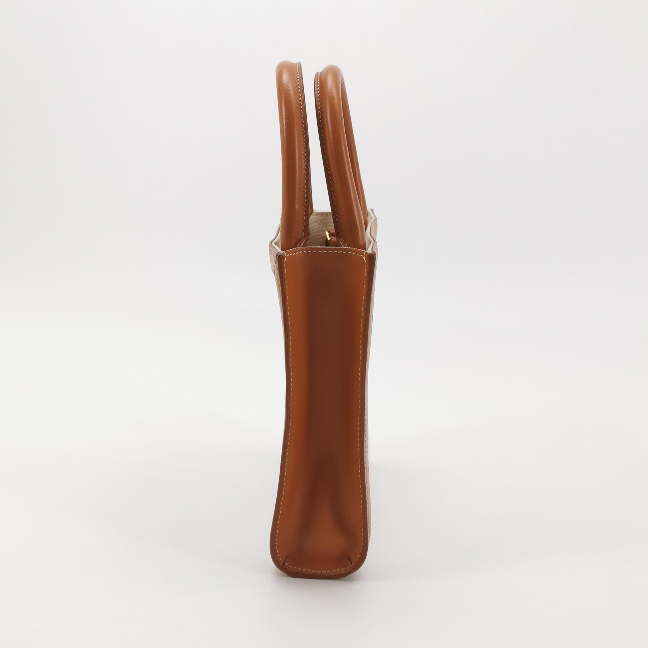 Celine Vertical Cabas Tote Canvas with Leather Mini — photo 5 of 15