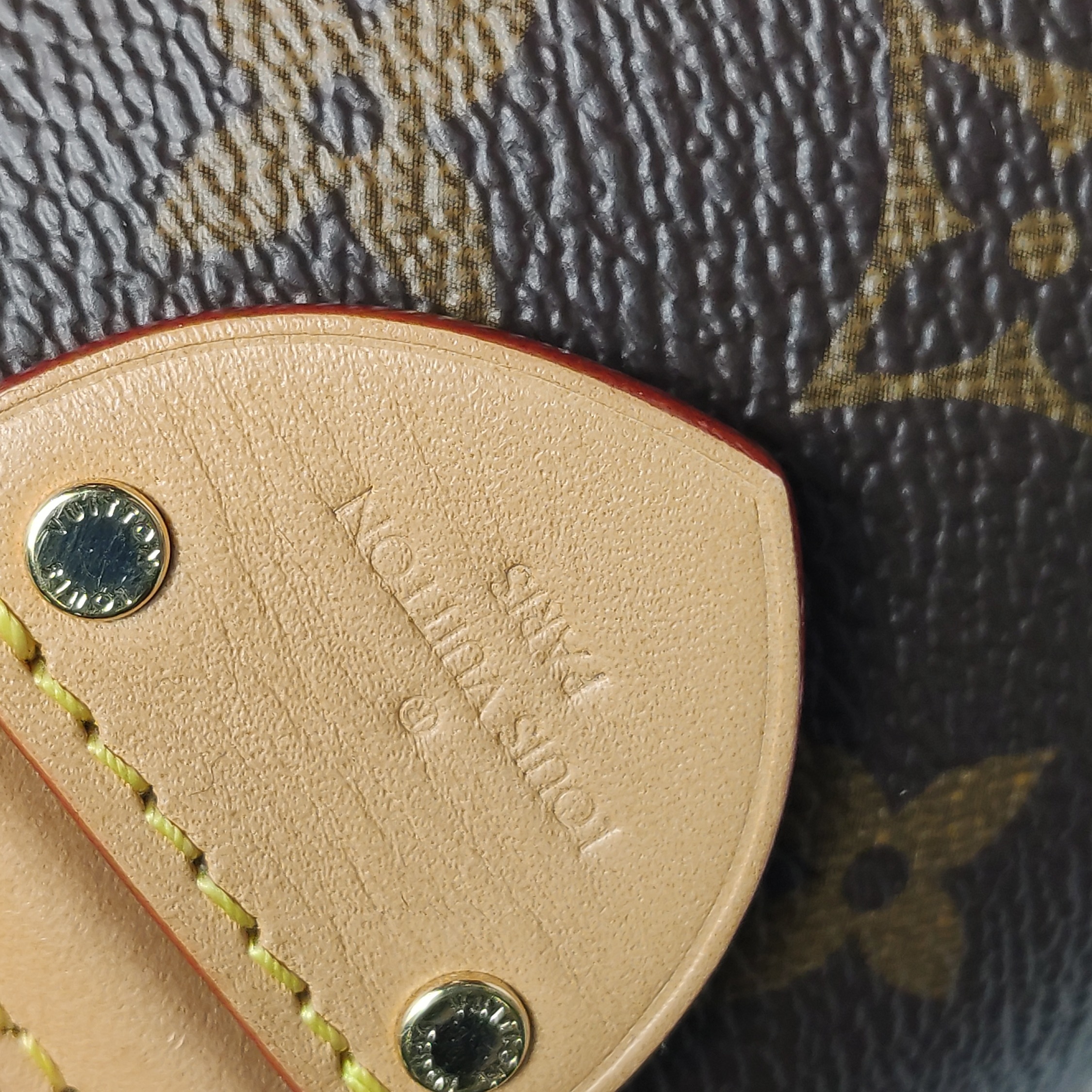 Louis Vuitton(LV) Cannes Handbag Monogram Canvas Nano — photo 14 of 21