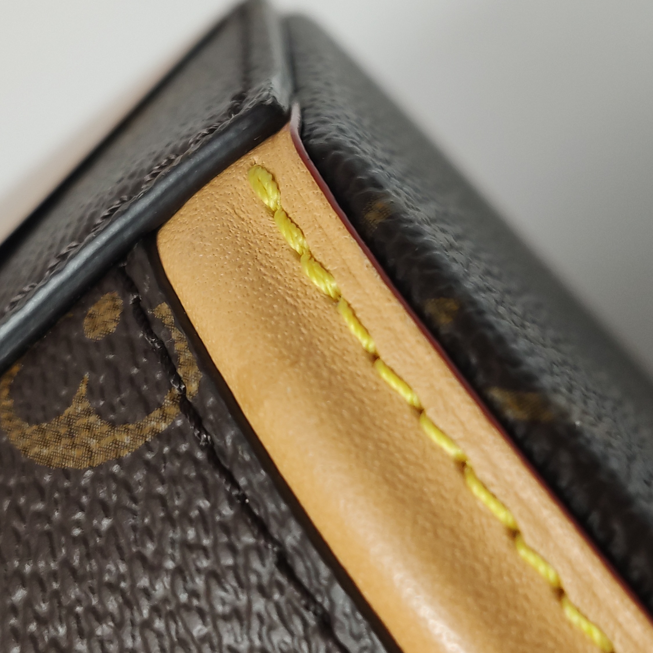 Louis Vuitton(LV) Cannes Handbag Monogram Canvas Nano — photo 20 of 21