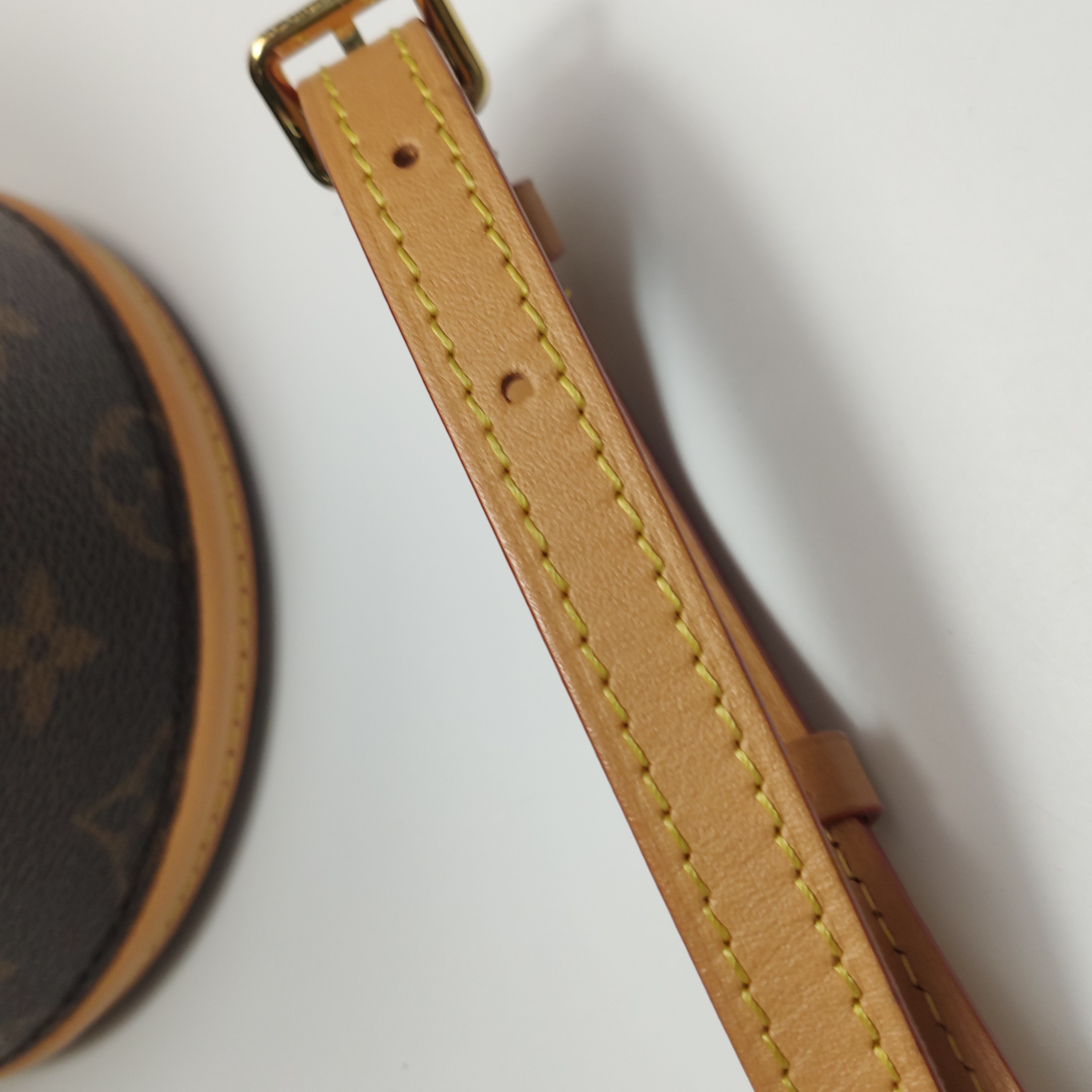 Louis Vuitton(LV) Cannes Handbag Monogram Canvas Nano — photo 21 of 21