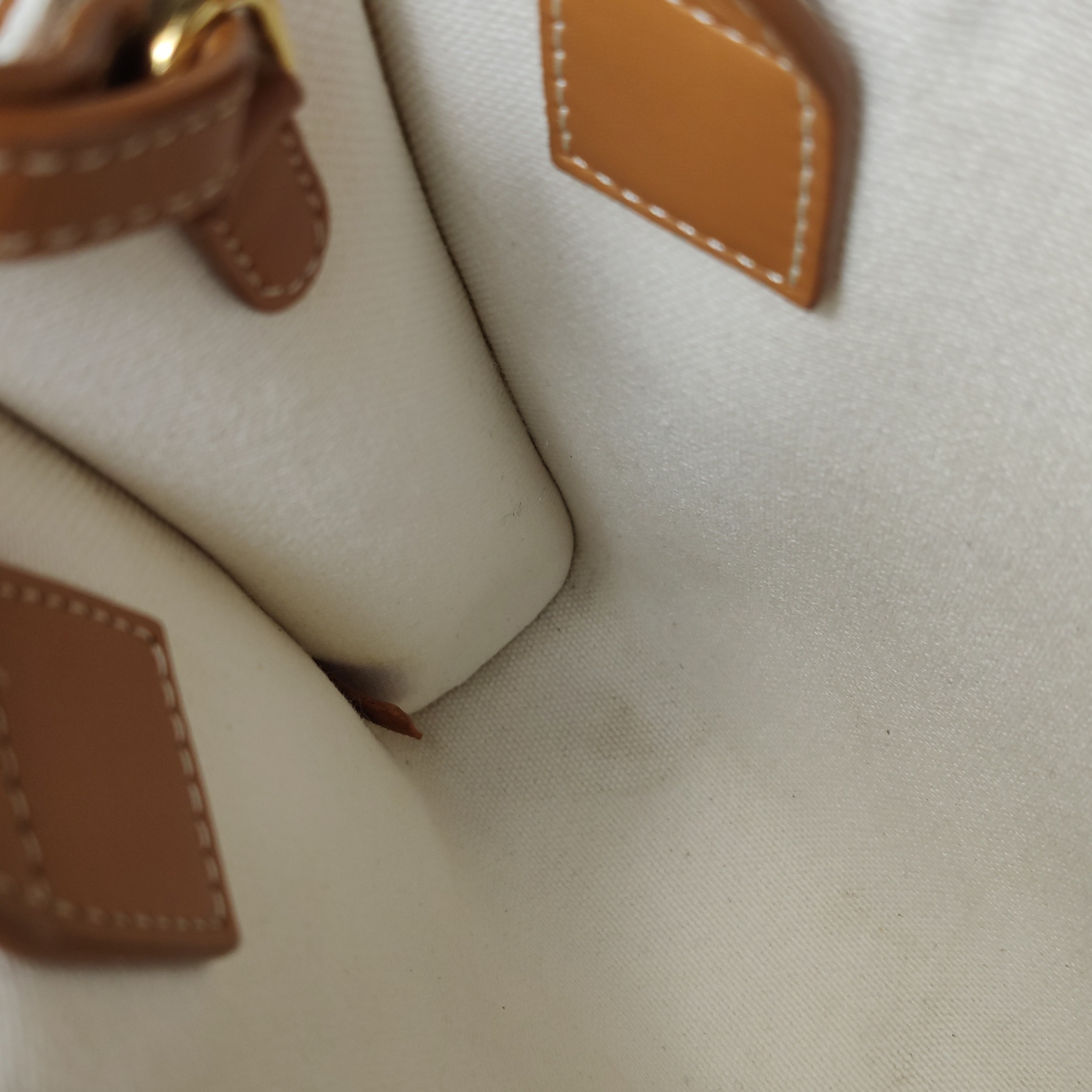 Celine Vertical Cabas Tote Canvas with Leather Mini — photo 9 of 15